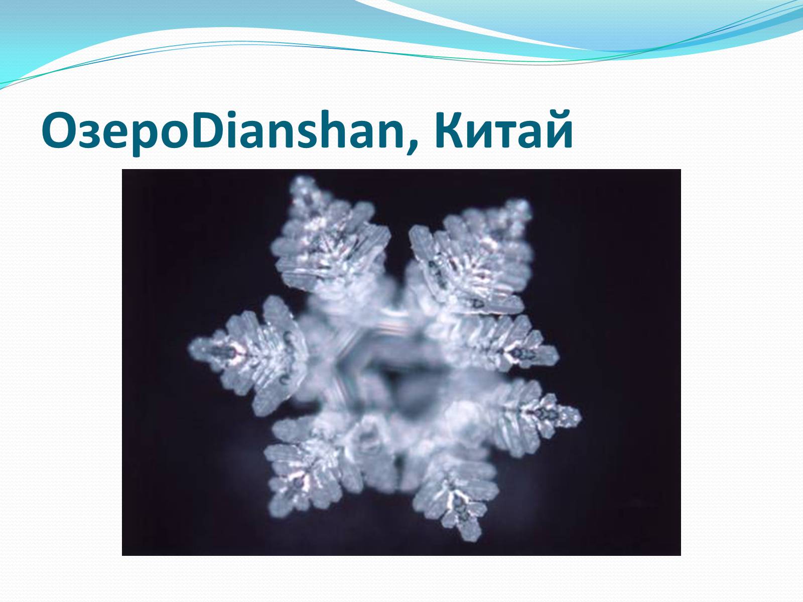 Презентація на тему «Кристали води» - Слайд #24 Презентація на тему «Кристали води» - Слайд #24