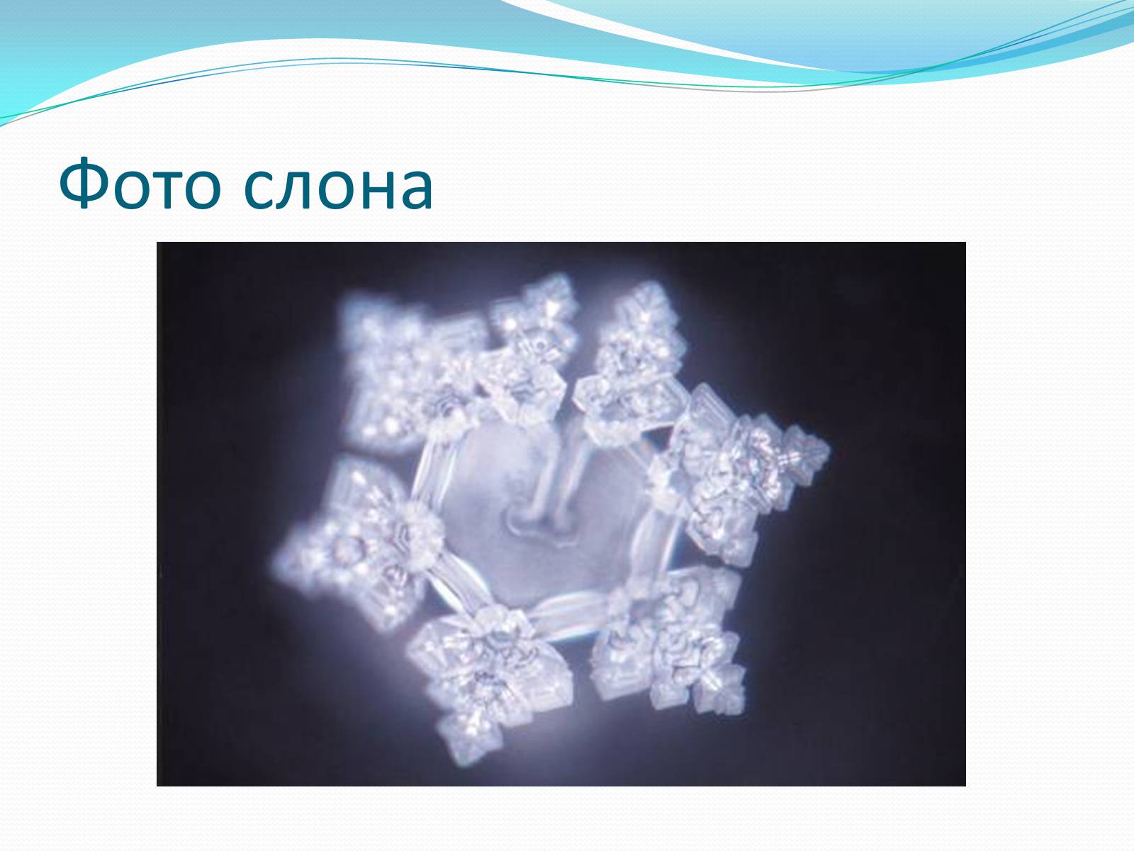 Презентація на тему «Кристали води» - Слайд #38 Презентація на тему «Кристали води» - Слайд #38