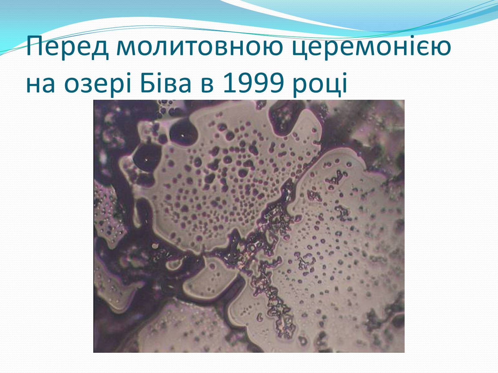 Презентація на тему «Кристали води» - Слайд #43 Презентація на тему «Кристали води» - Слайд #43