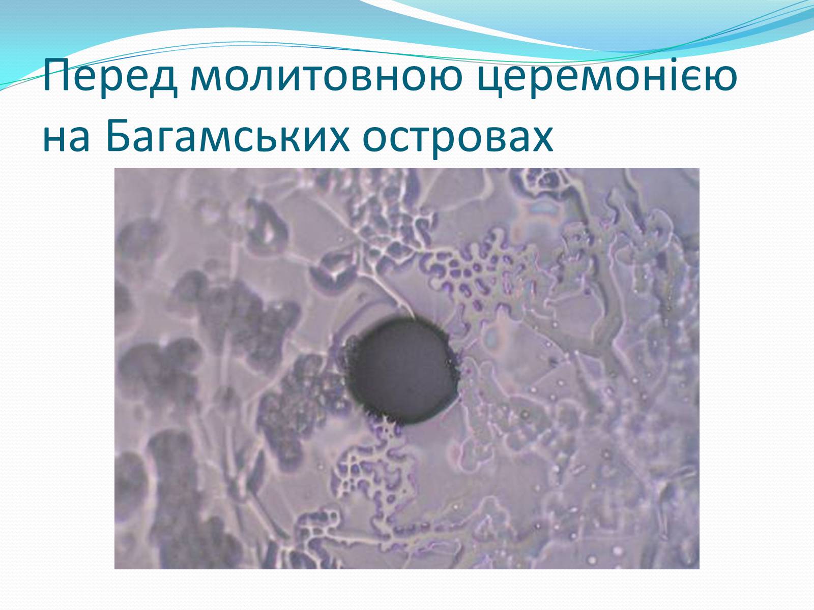 Презентація на тему «Кристали води» - Слайд #47 Презентація на тему «Кристали води» - Слайд #47