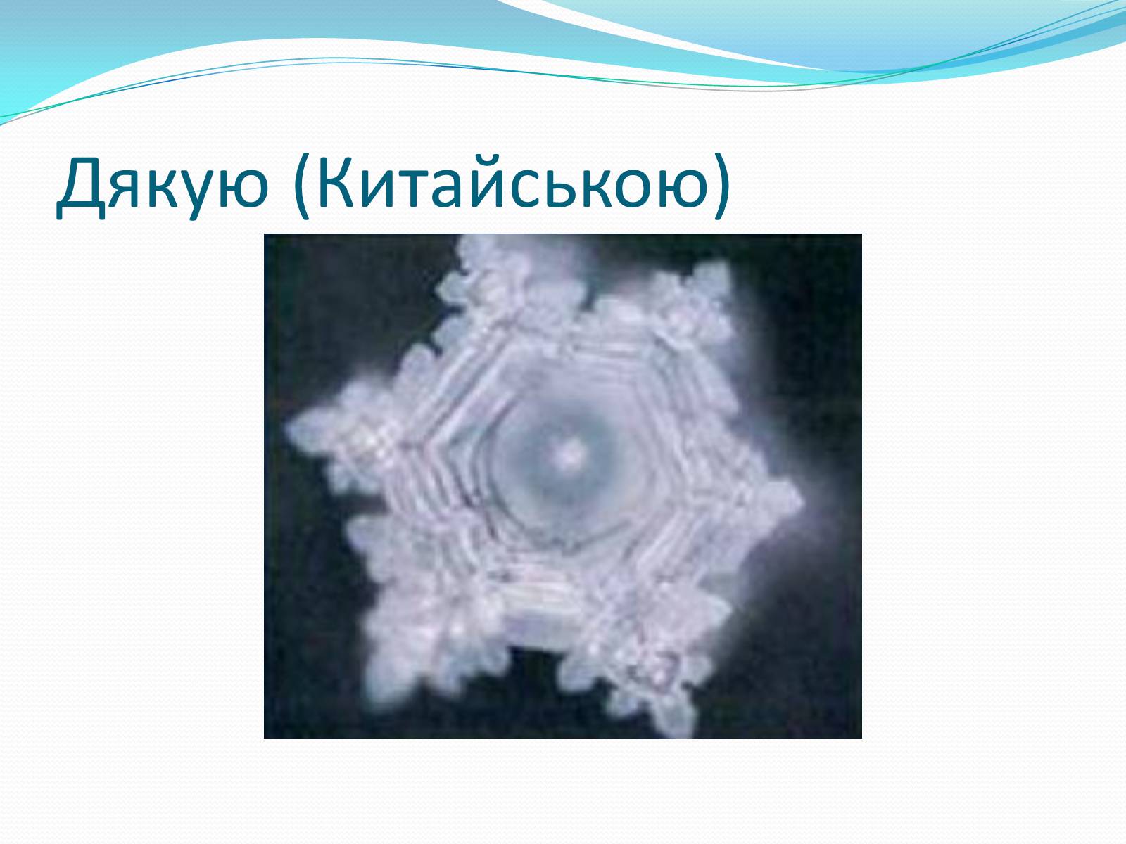 Презентація на тему «Кристали води» - Слайд #59 Презентація на тему «Кристали води» - Слайд #59