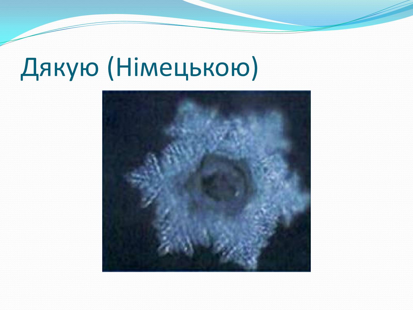 Презентація на тему «Кристали води» - Слайд #60 Презентація на тему «Кристали води» - Слайд #60