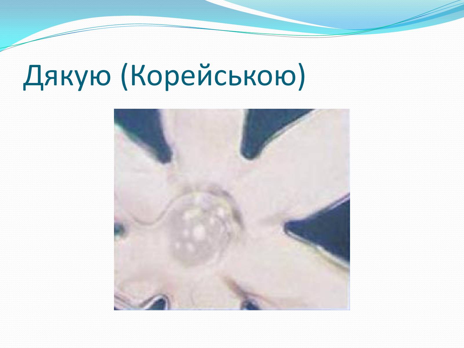 Презентація на тему «Кристали води» - Слайд #62 Презентація на тему «Кристали води» - Слайд #62