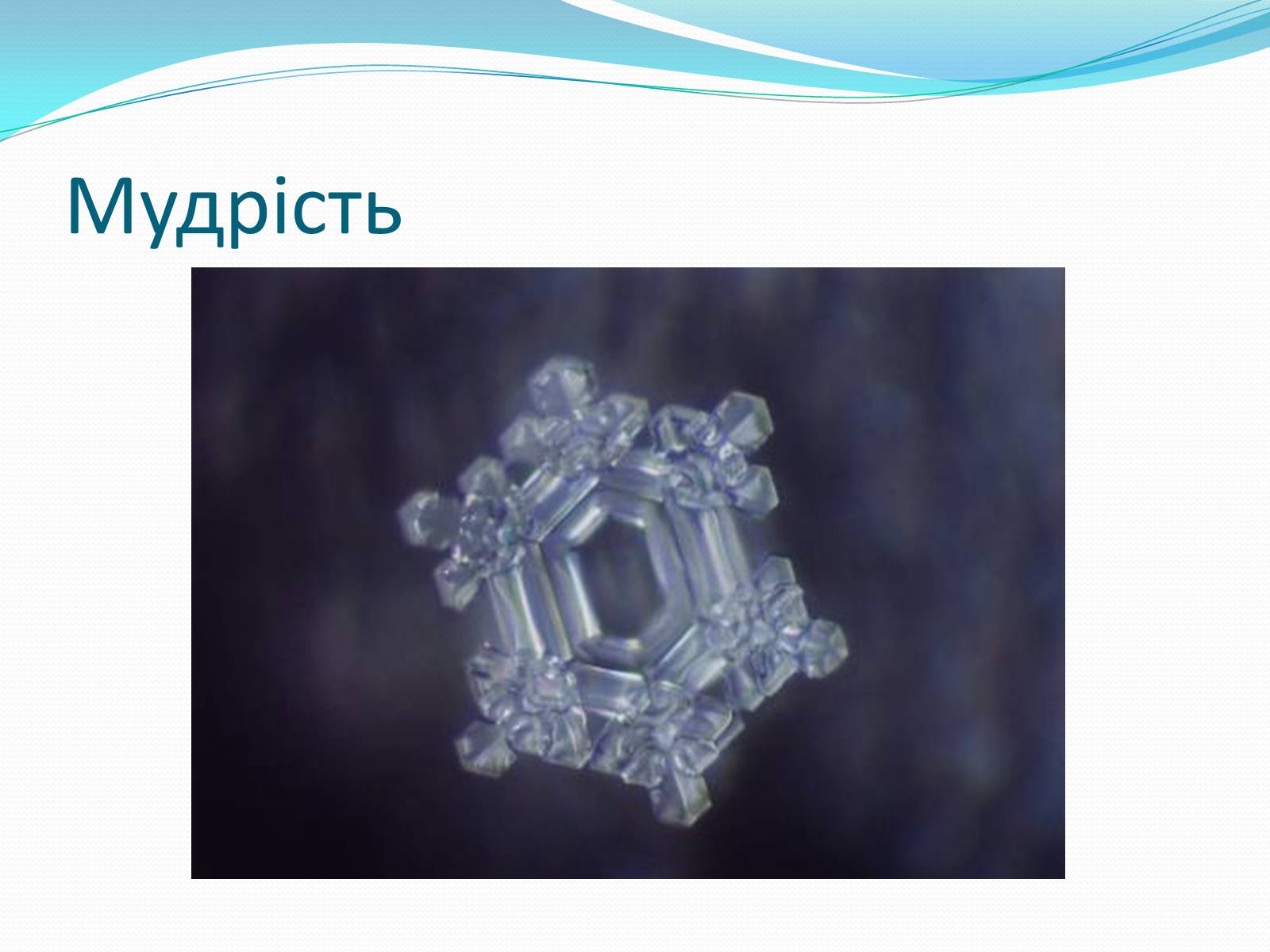 Презентація на тему «Кристали води» - Слайд #66 Презентація на тему «Кристали води» - Слайд #66