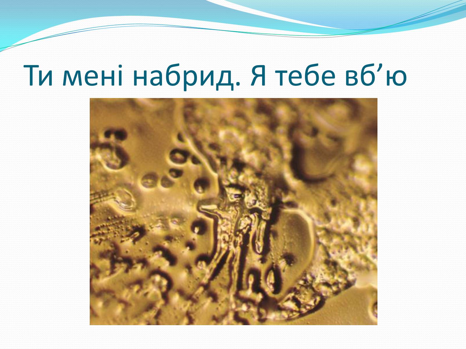 Презентація на тему «Кристали води» - Слайд #67 Презентація на тему «Кристали води» - Слайд #67