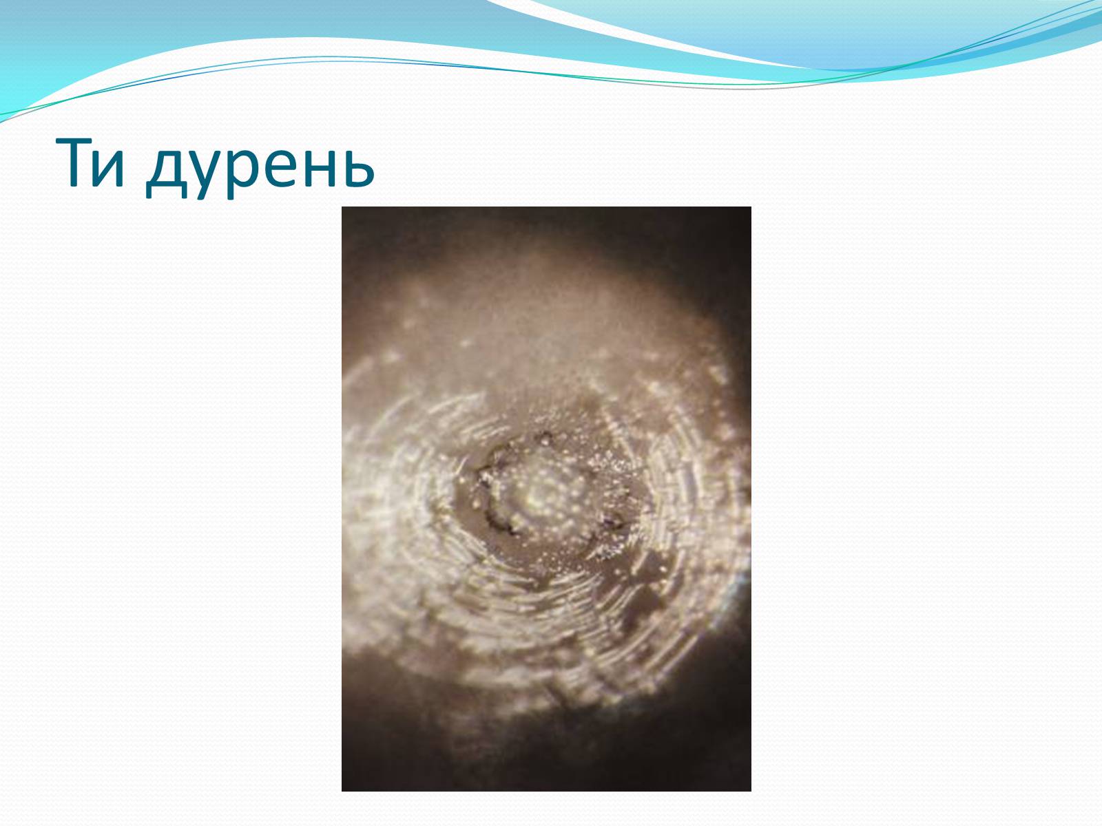 Презентація на тему «Кристали води» - Слайд #68 Презентація на тему «Кристали води» - Слайд #68