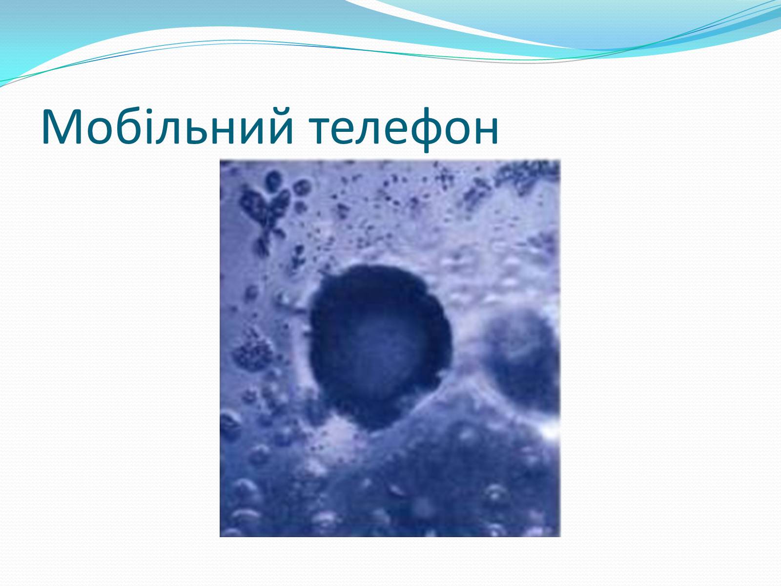 Презентація на тему «Кристали води» - Слайд #79 Презентація на тему «Кристали води» - Слайд #79