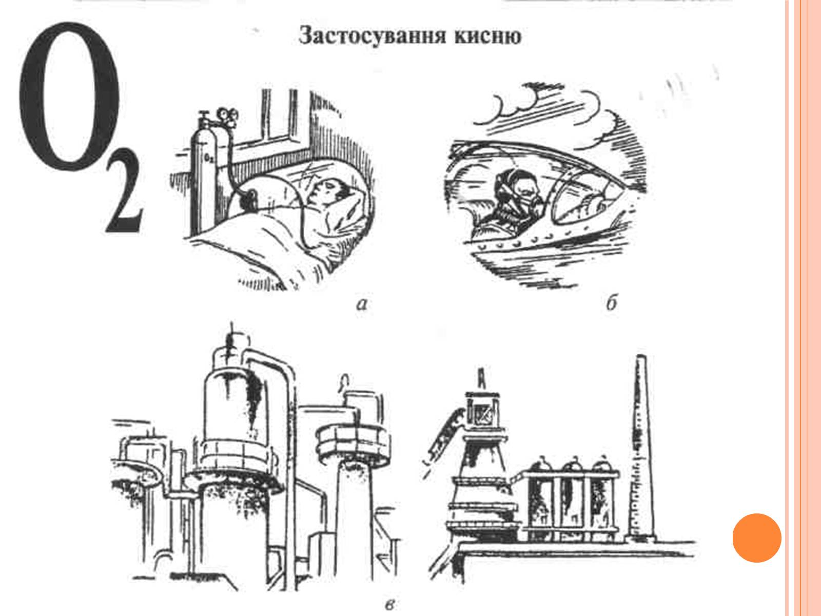 Презентація на тему «Колообіг Оксигену» - Слайд #7 Презентація на тему «Колообіг Оксигену» - Слайд #7