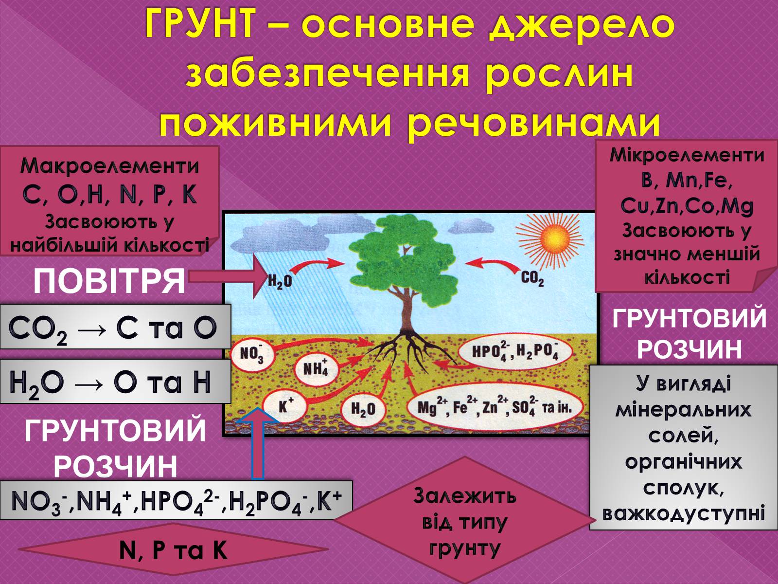 Презентація на тему «Поживні добавки для рослин – ДОБРИВА» - Слайд #3 Презентація на тему «Поживні добавки для рослин – ДОБРИВА» - Слайд #3