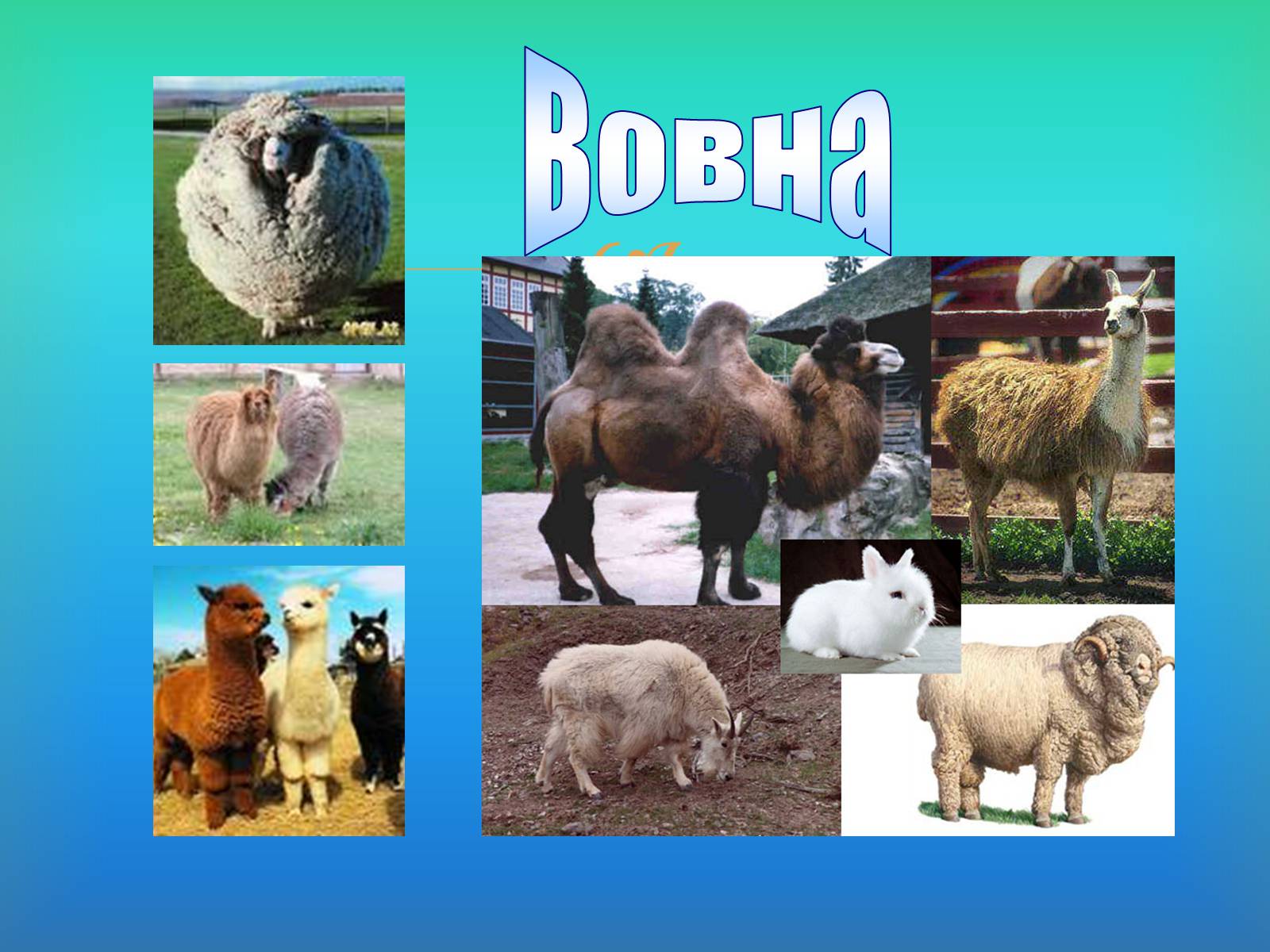 Презентація на тему «Волокна» (варіант 6) - Слайд #19 Презентація на тему «Волокна» (варіант 6) - Слайд #19
