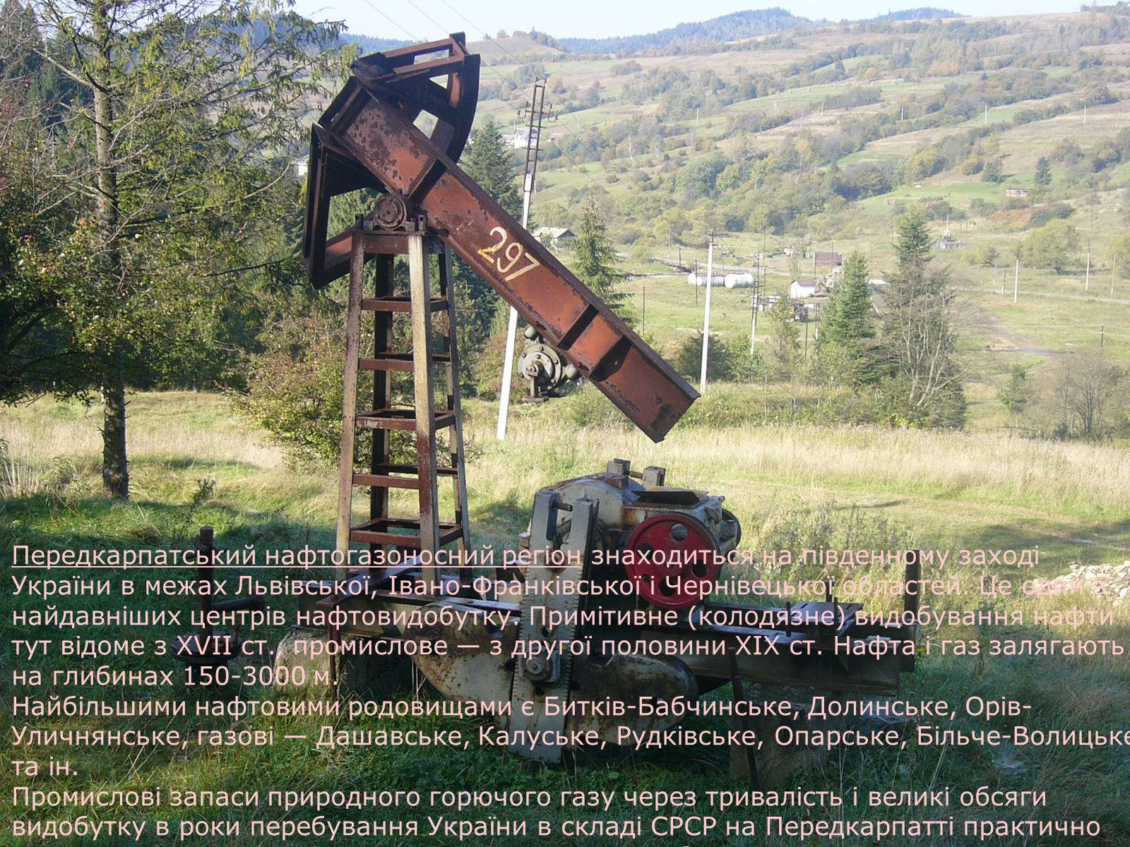 Презентація на тему «Мінерально-сировинні ресурси» (варіант 2) - Слайд #8 Презентація на тему «Мінерально-сировинні ресурси» (варіант 2) - Слайд #8