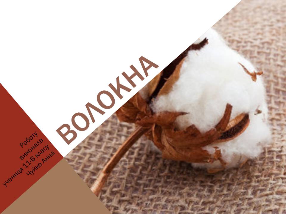 Презентація на тему «Волокна» (варіант 8) - Слайд #1 Презентація на тему «Волокна» (варіант 8) - Слайд #1