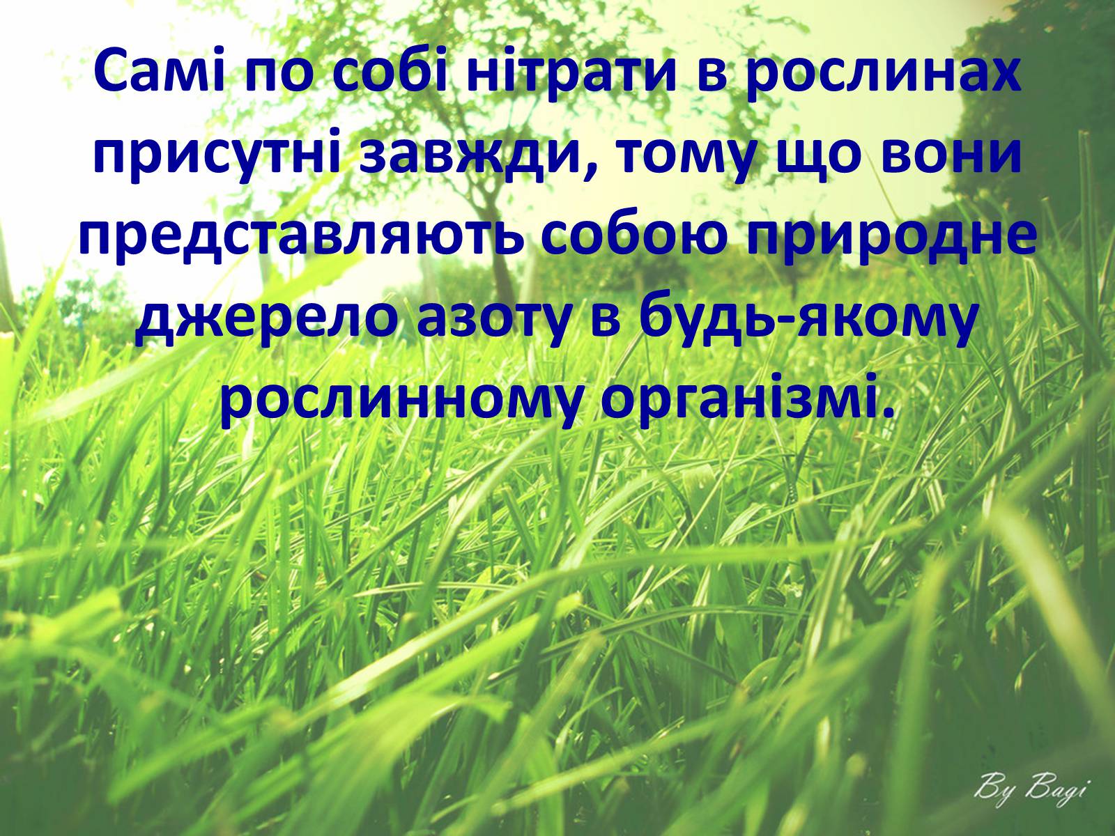 Презентація на тему «Нітрати» (варіант 2) - Слайд #15 Презентація на тему «Нітрати» (варіант 2) - Слайд #15