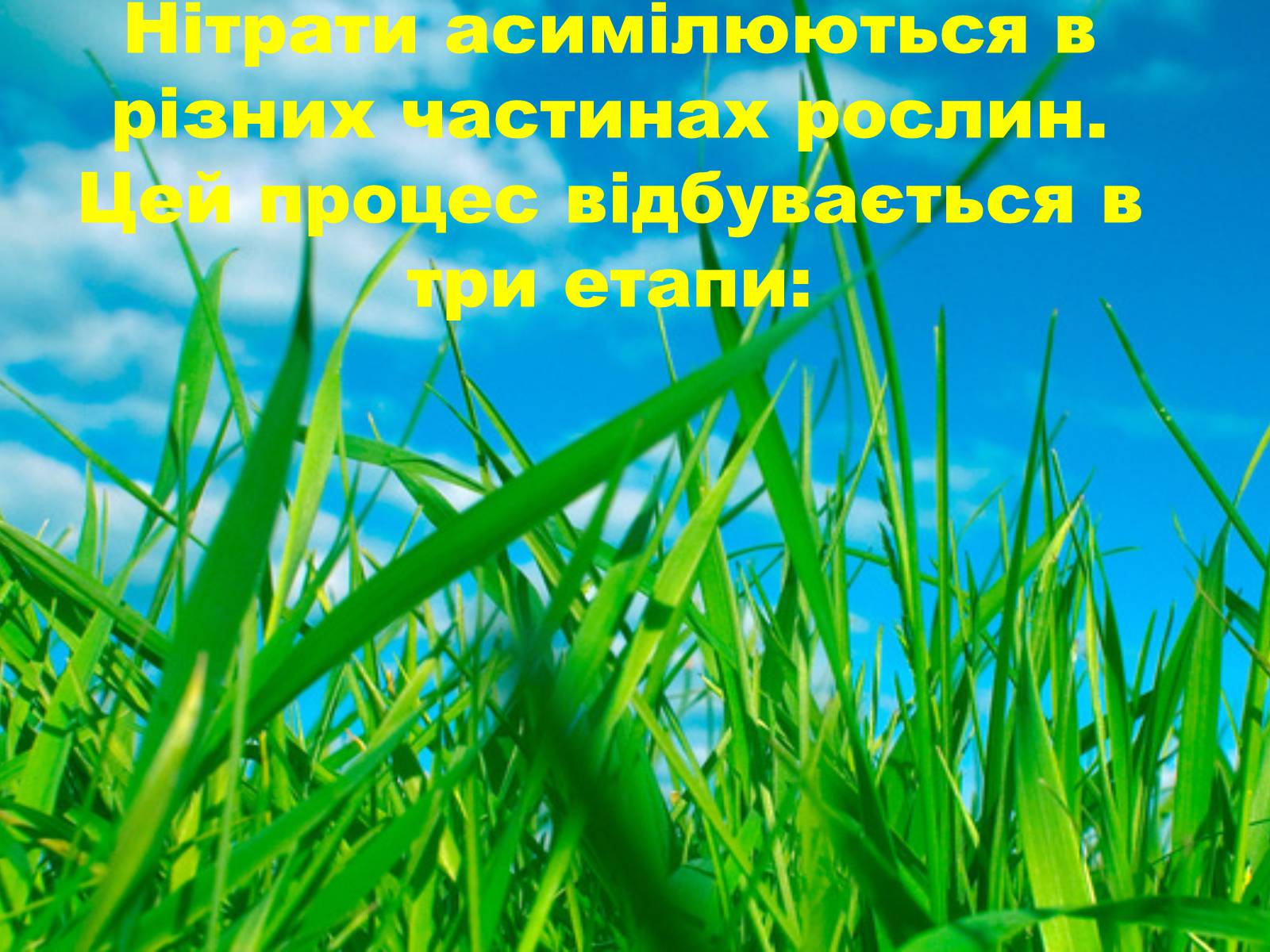 Презентація на тему «Нітрати» (варіант 2) - Слайд #17 Презентація на тему «Нітрати» (варіант 2) - Слайд #17