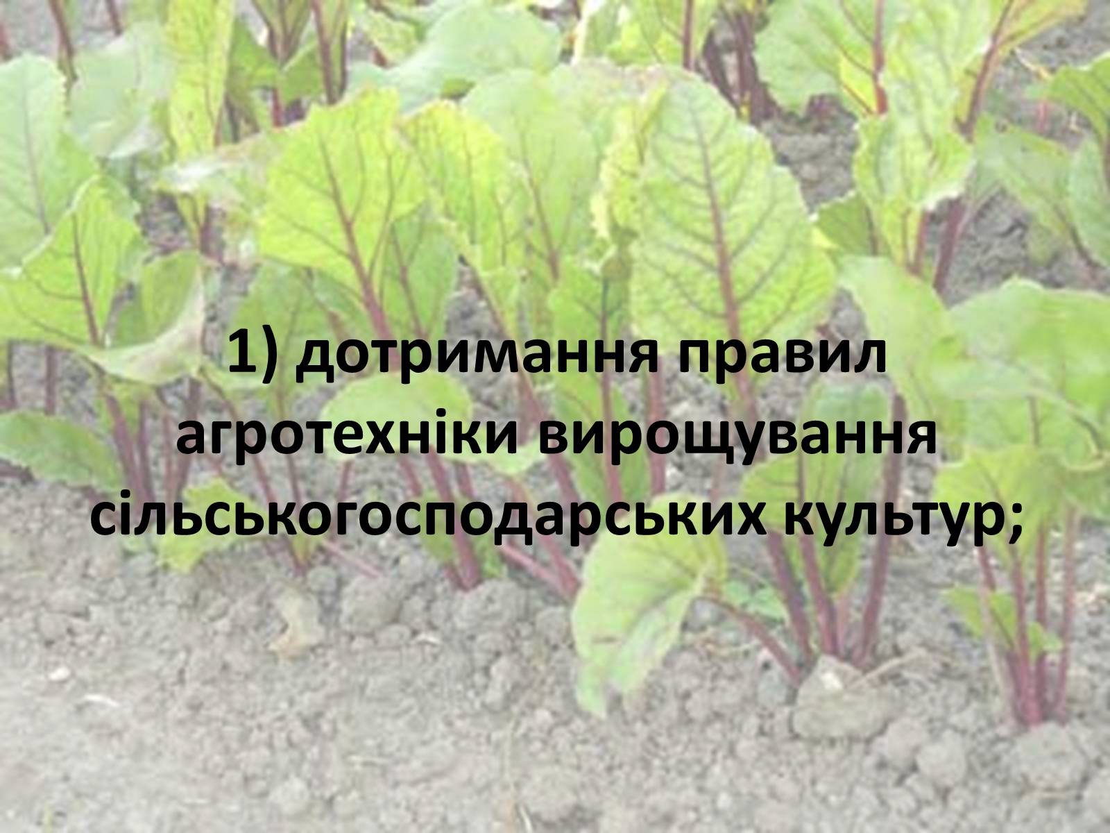 Презентація на тему «Нітрати» (варіант 2) - Слайд #37 Презентація на тему «Нітрати» (варіант 2) - Слайд #37
