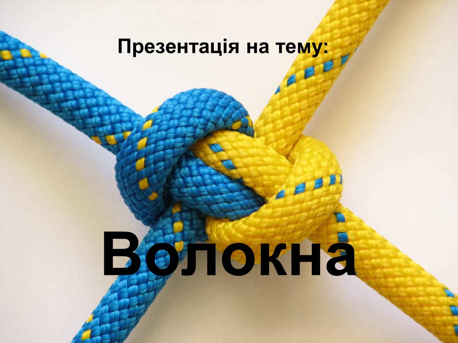 Презентація на тему «Волокна» (варіант 2) - Слайд #1 Презентація на тему «Волокна» (варіант 2) - Слайд #1