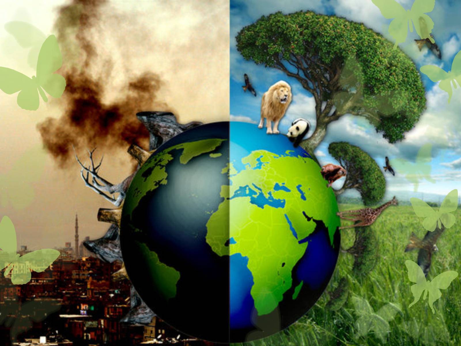 Презентація на тему «Save Our Planet» - Слайд #2 Презентація на тему «Save Our Planet» - Слайд #2