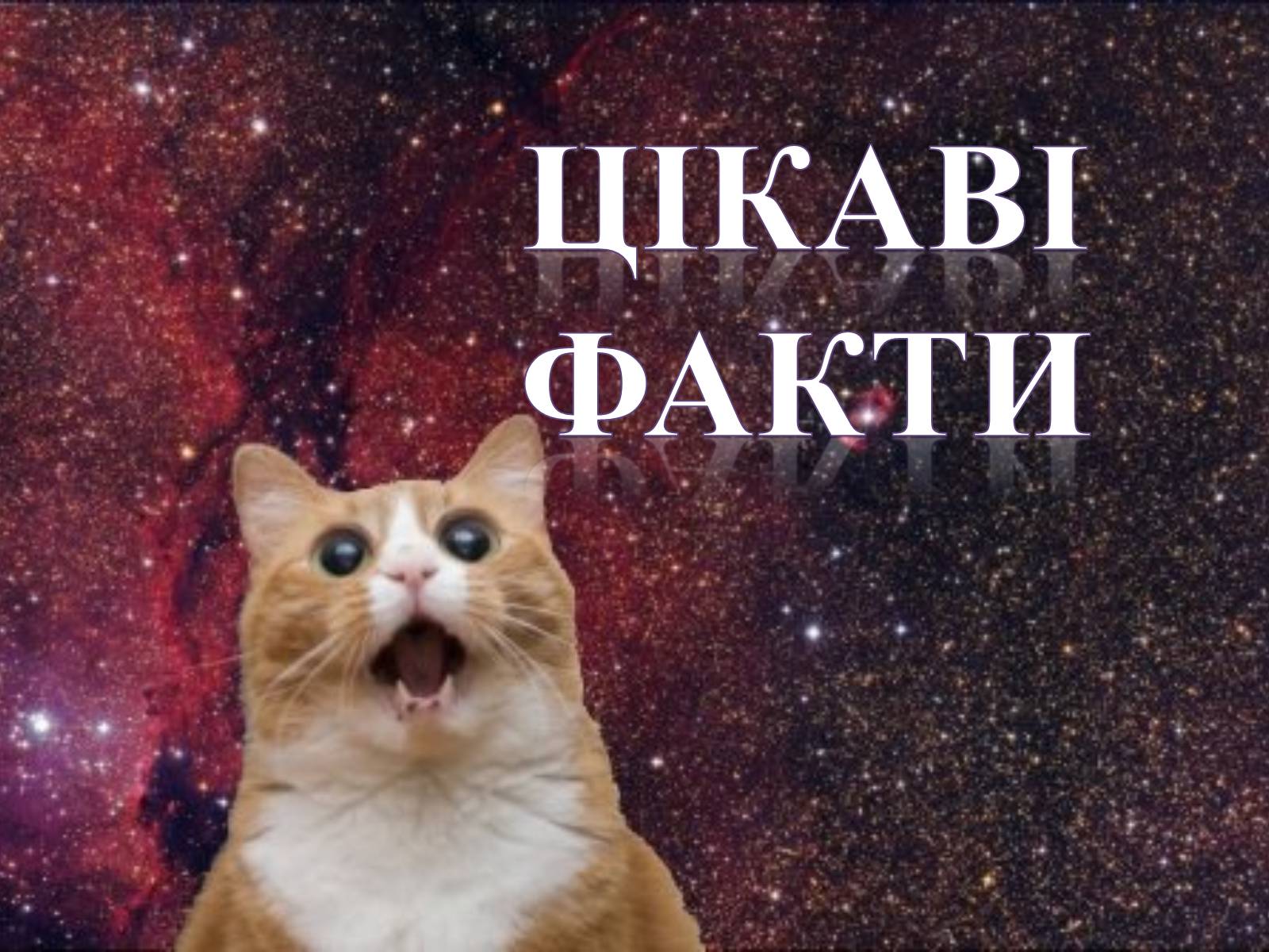 Презентація на тему «Венера» (варіант 22) - Слайд #10 Презентація на тему «Венера» (варіант 22) - Слайд #10