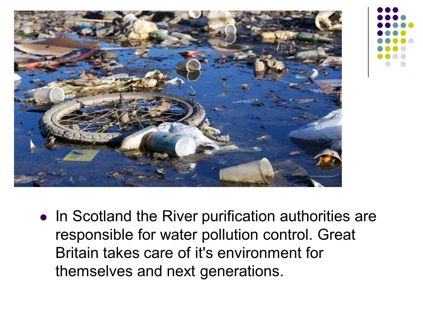 Презентація на тему «Ecological problems in Great Britain» - Слайд #10 Презентація на тему «Ecological problems in Great Britain» - Слайд #10