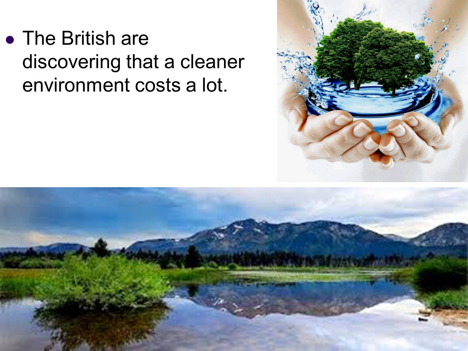 Презентація на тему «Ecological problems in Great Britain» - Слайд #12 Презентація на тему «Ecological problems in Great Britain» - Слайд #12