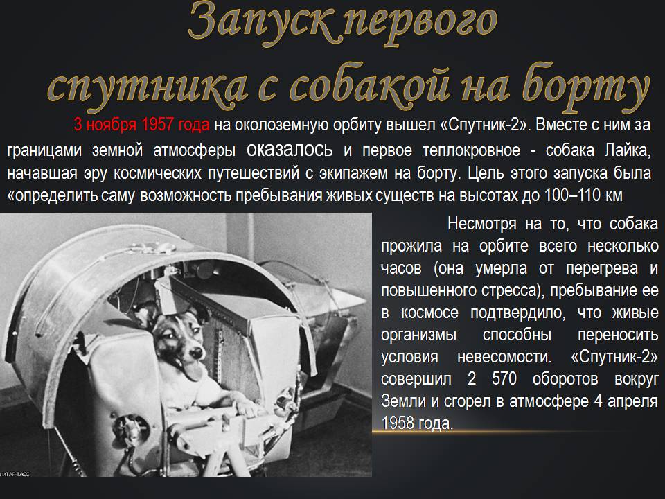 Презентація на тему «История развития космонавтики» (варіант 3) - Слайд #3 Презентація на тему «История развития космонавтики» (варіант 3) - Слайд #3