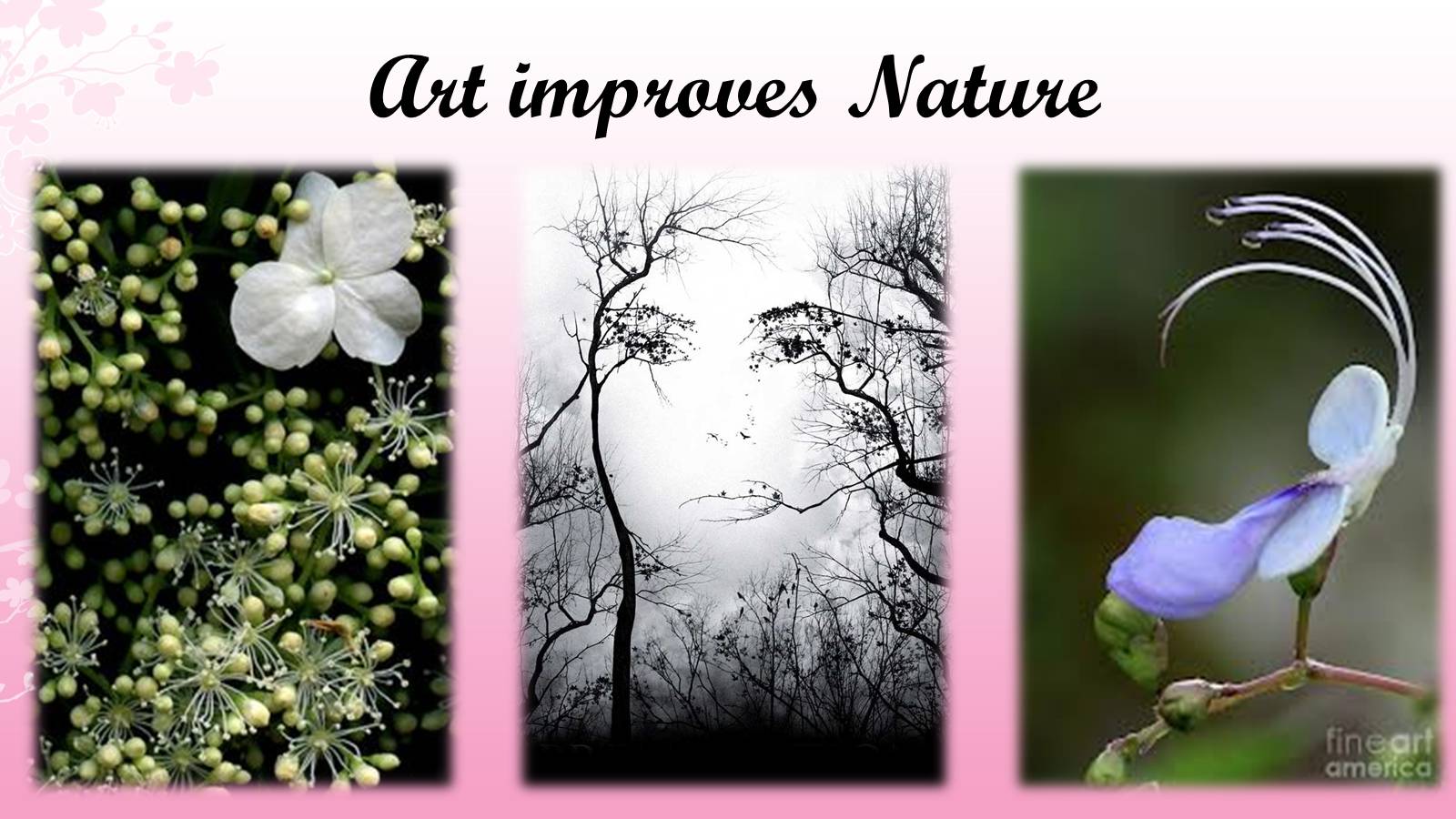 Презентація на тему «English proverbs about Art» - Слайд #14 Презентація на тему «English proverbs about Art» - Слайд #14