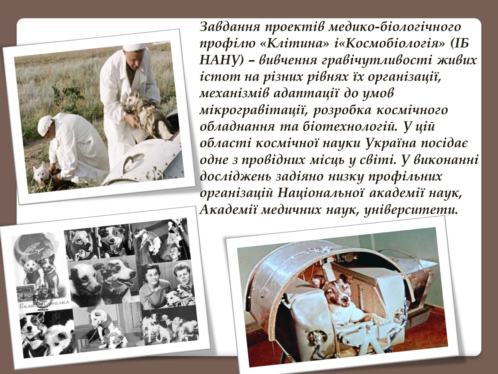 Презентація на тему «Позаатмосферна астрономія та астрофізика» - Слайд #8 Презентація на тему «Позаатмосферна астрономія та астрофізика» - Слайд #8