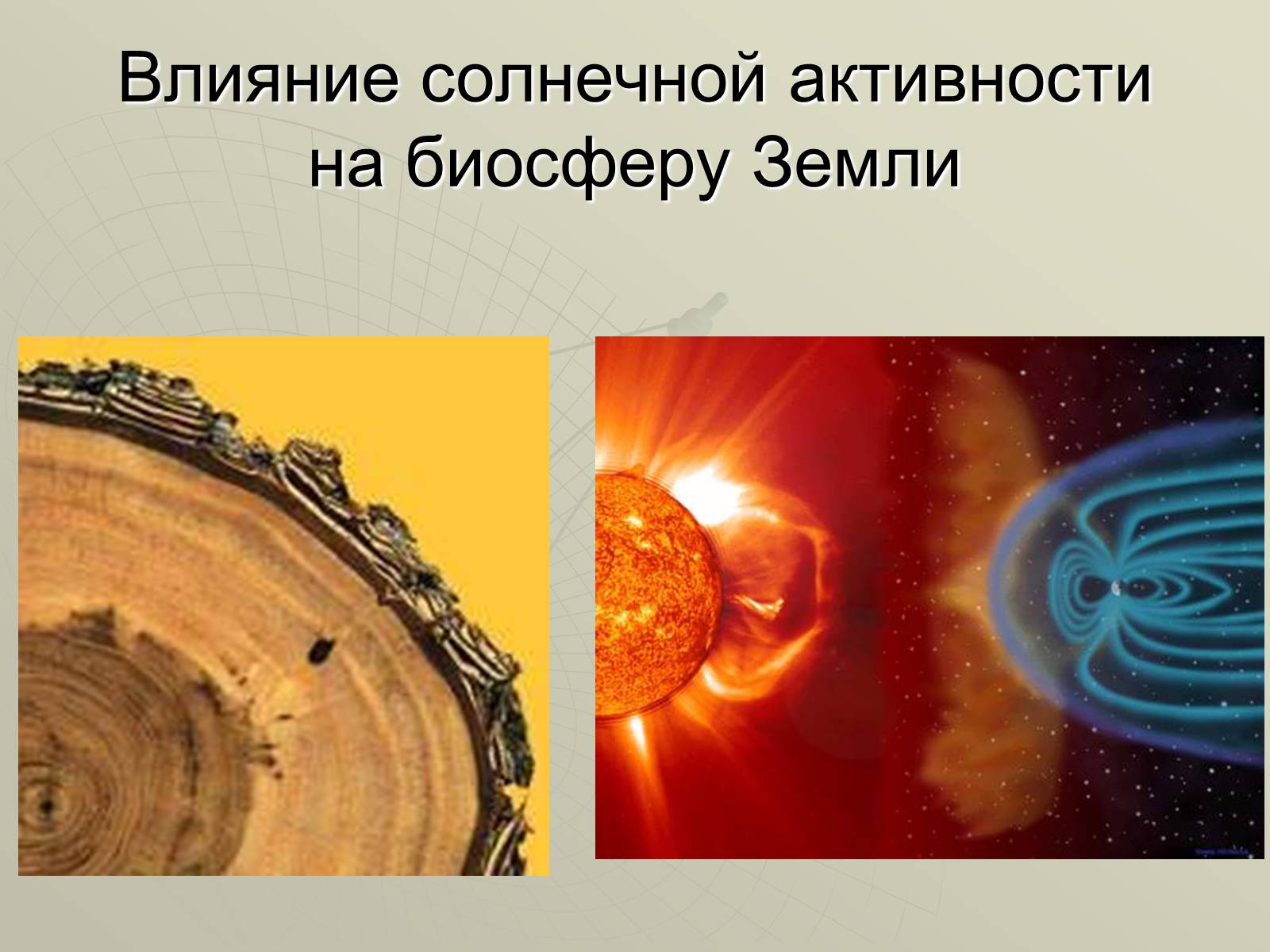 Презентація на тему «Солнечная активность» (варіант 1) - Слайд #16 Презентація на тему «Солнечная активность» (варіант 1) - Слайд #16