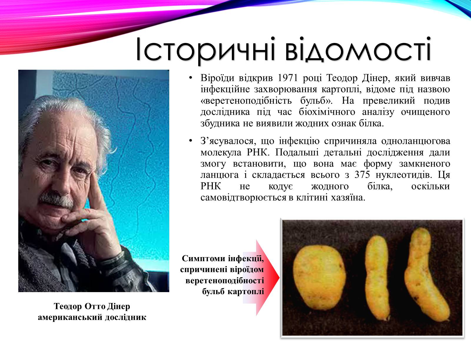 Презентація на тему «Віроїди і пріони» - Слайд #3 Презентація на тему «Віроїди і пріони» - Слайд #3