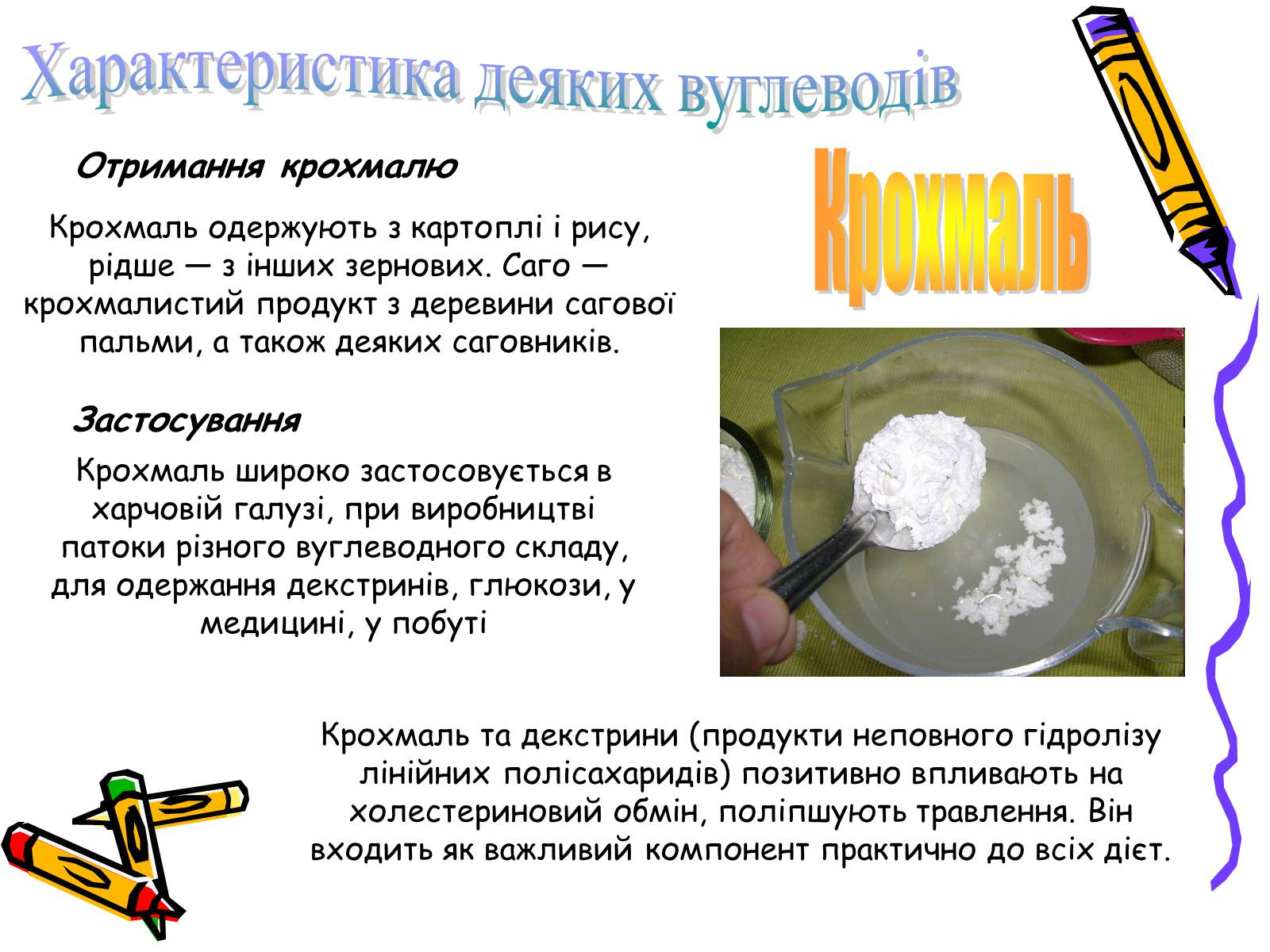 Презентація на тему «Вуглеводи як компоненти їжі, їх роль у житті людини» (варіант 2) - Слайд #5 Презентація на тему «Вуглеводи як компоненти їжі, їх роль у житті людини» (варіант 2) - Слайд #5