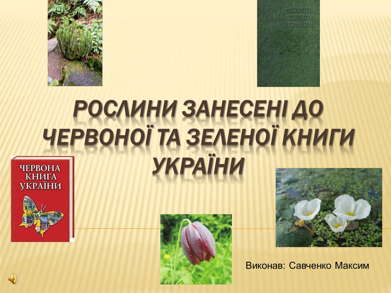 Презентація на тему «Рослини занесені до Червоної та Зеленої книги України» (варіант 2) - Слайд #1 Презентація на тему «Рослини занесені до Червоної та Зеленої книги України» (варіант 2) - Слайд #1