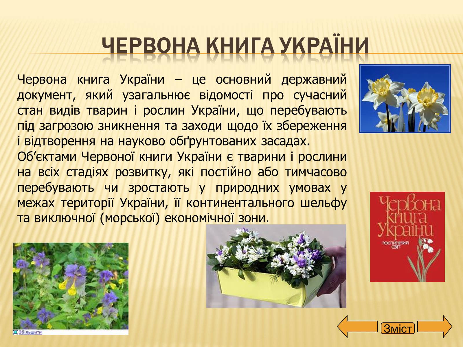 Презентація на тему «Рослини занесені до Червоної та Зеленої книги України» (варіант 2) - Слайд #4 Презентація на тему «Рослини занесені до Червоної та Зеленої книги України» (варіант 2) - Слайд #4
