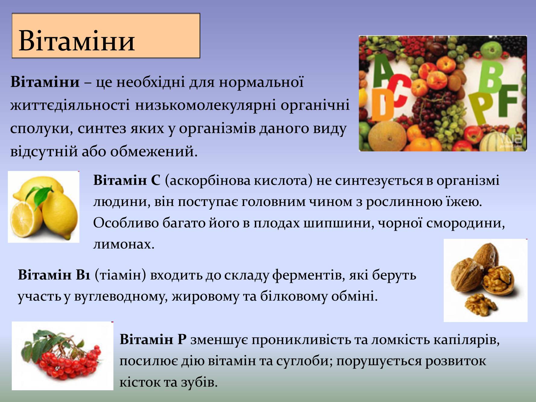 Презентація на тему «Збалансоване харчування» - Слайд #11 Презентація на тему «Збалансоване харчування» - Слайд #11