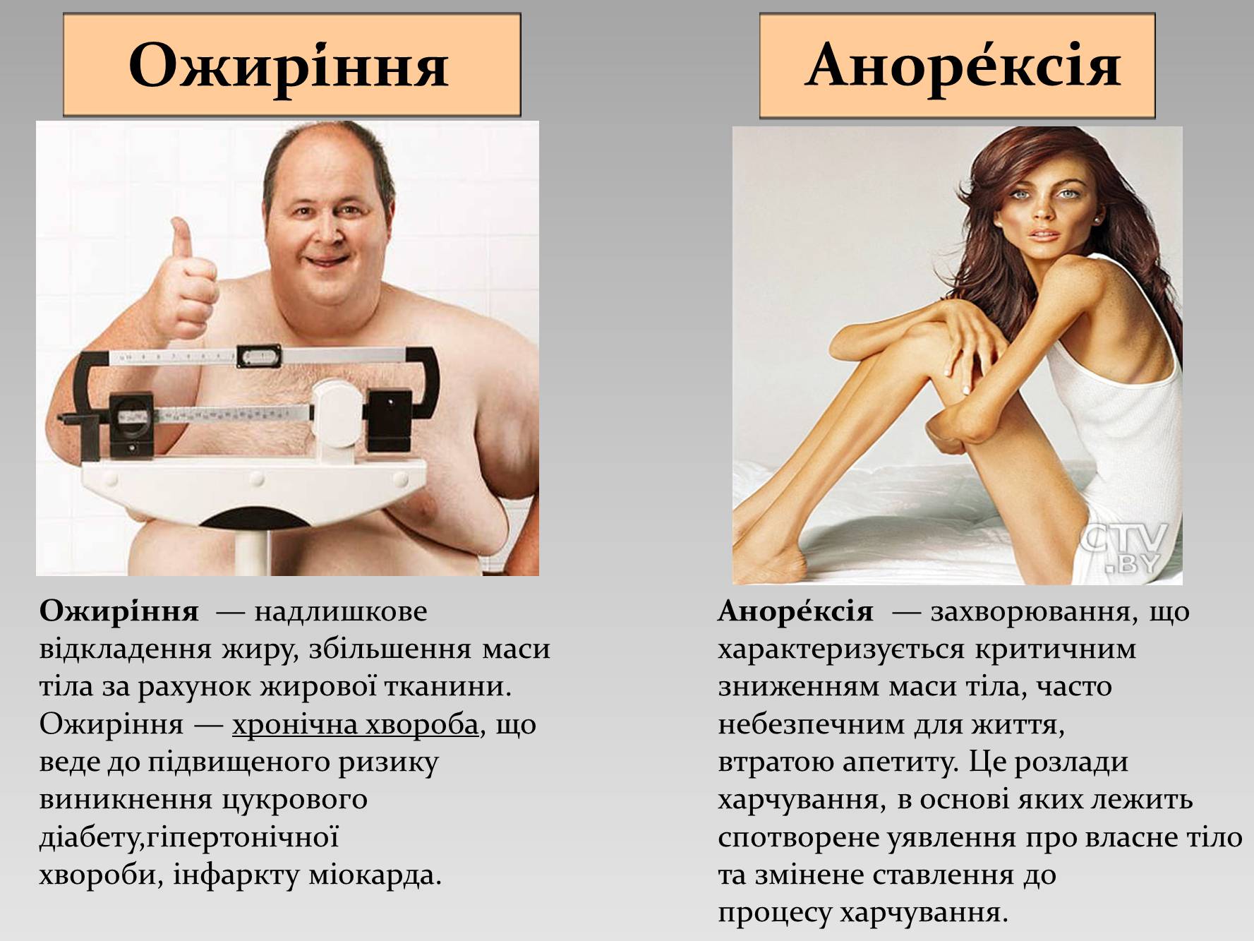 Презентація на тему «Збалансоване харчування» - Слайд #14 Презентація на тему «Збалансоване харчування» - Слайд #14