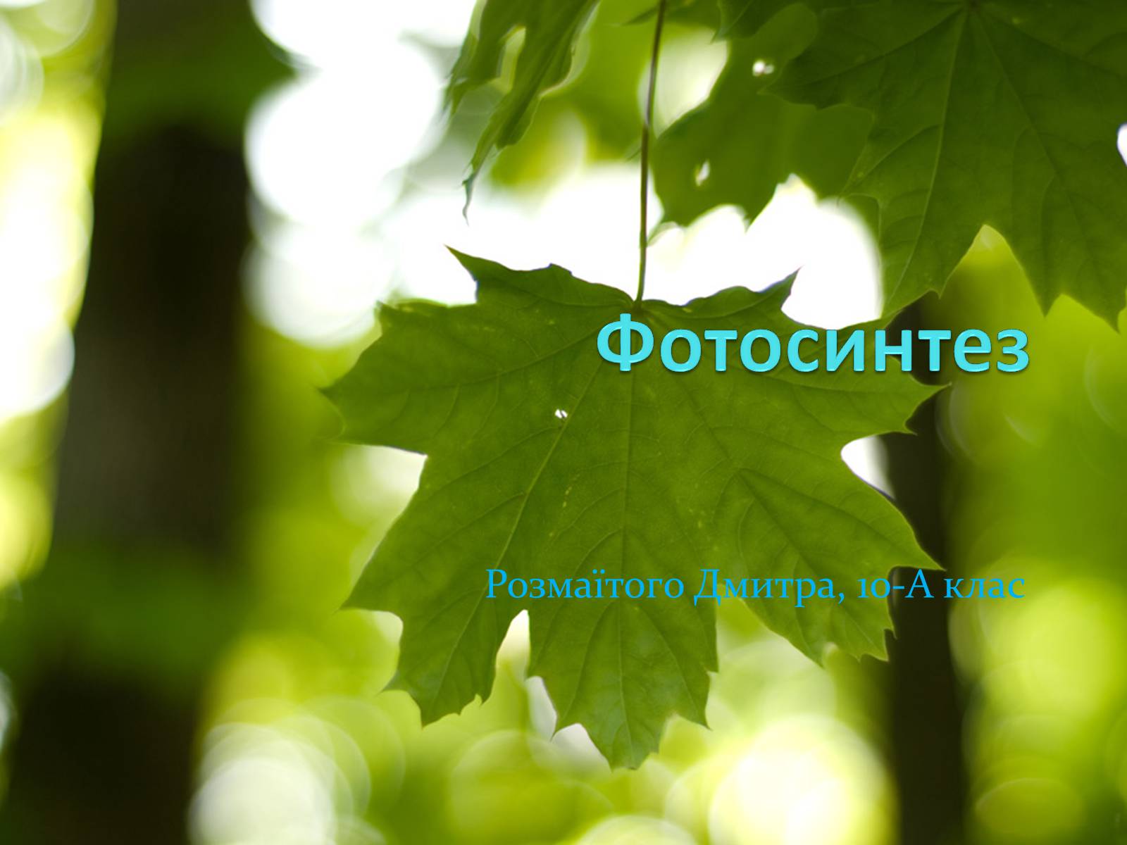 Презентація на тему «Фотосинтез» (варіант 9) - Слайд #1 Презентація на тему «Фотосинтез» (варіант 9) - Слайд #1