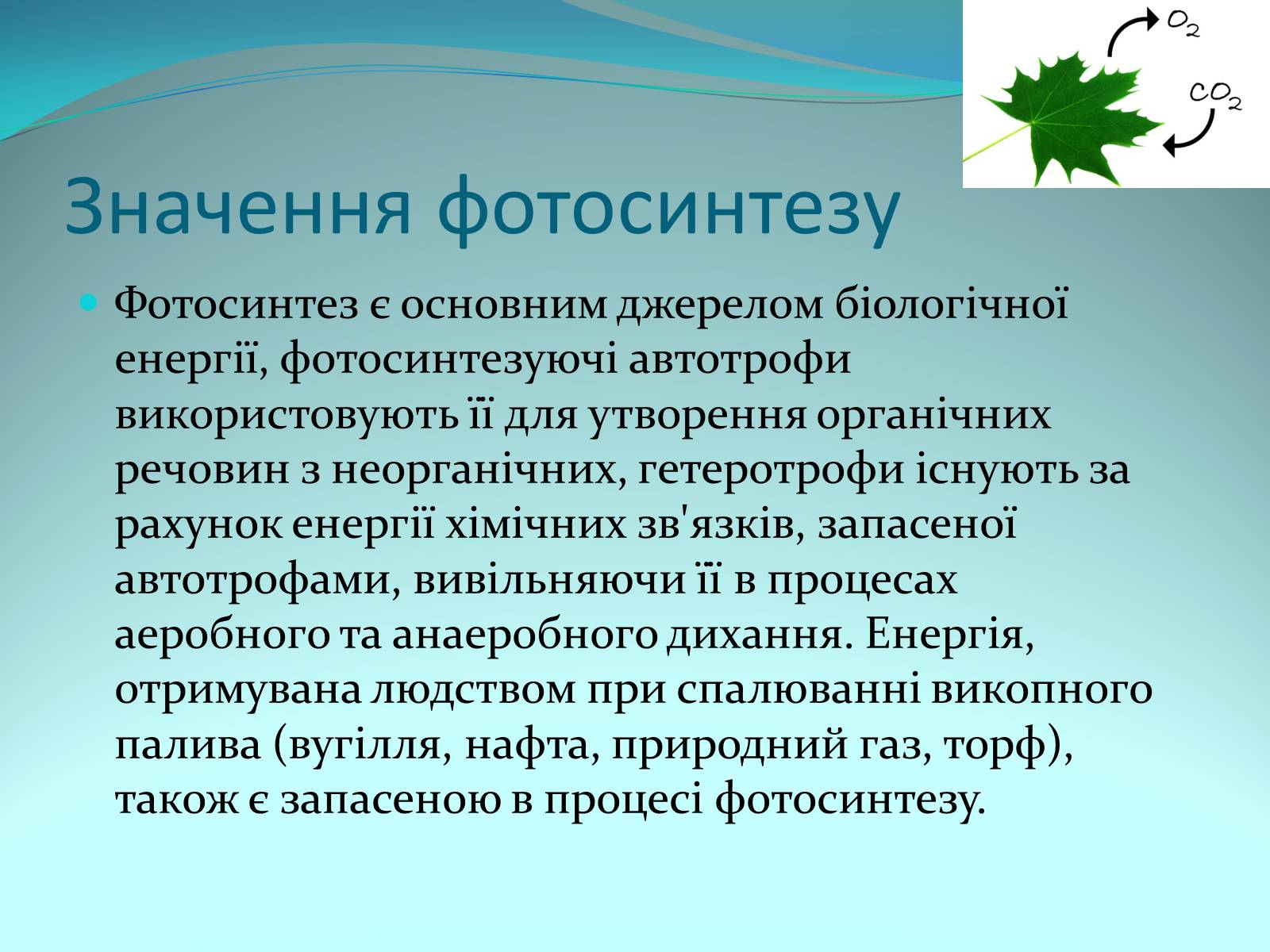 Презентація на тему «Фотосинтез» (варіант 9) - Слайд #15 Презентація на тему «Фотосинтез» (варіант 9) - Слайд #15