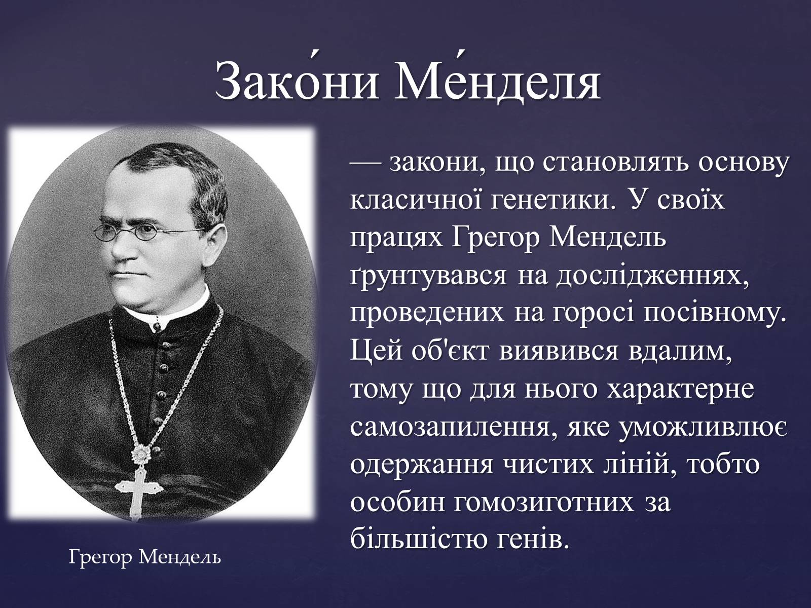 Презентація на тему «Закони Менделя» - Слайд #2 Презентація на тему «Закони Менделя» - Слайд #2