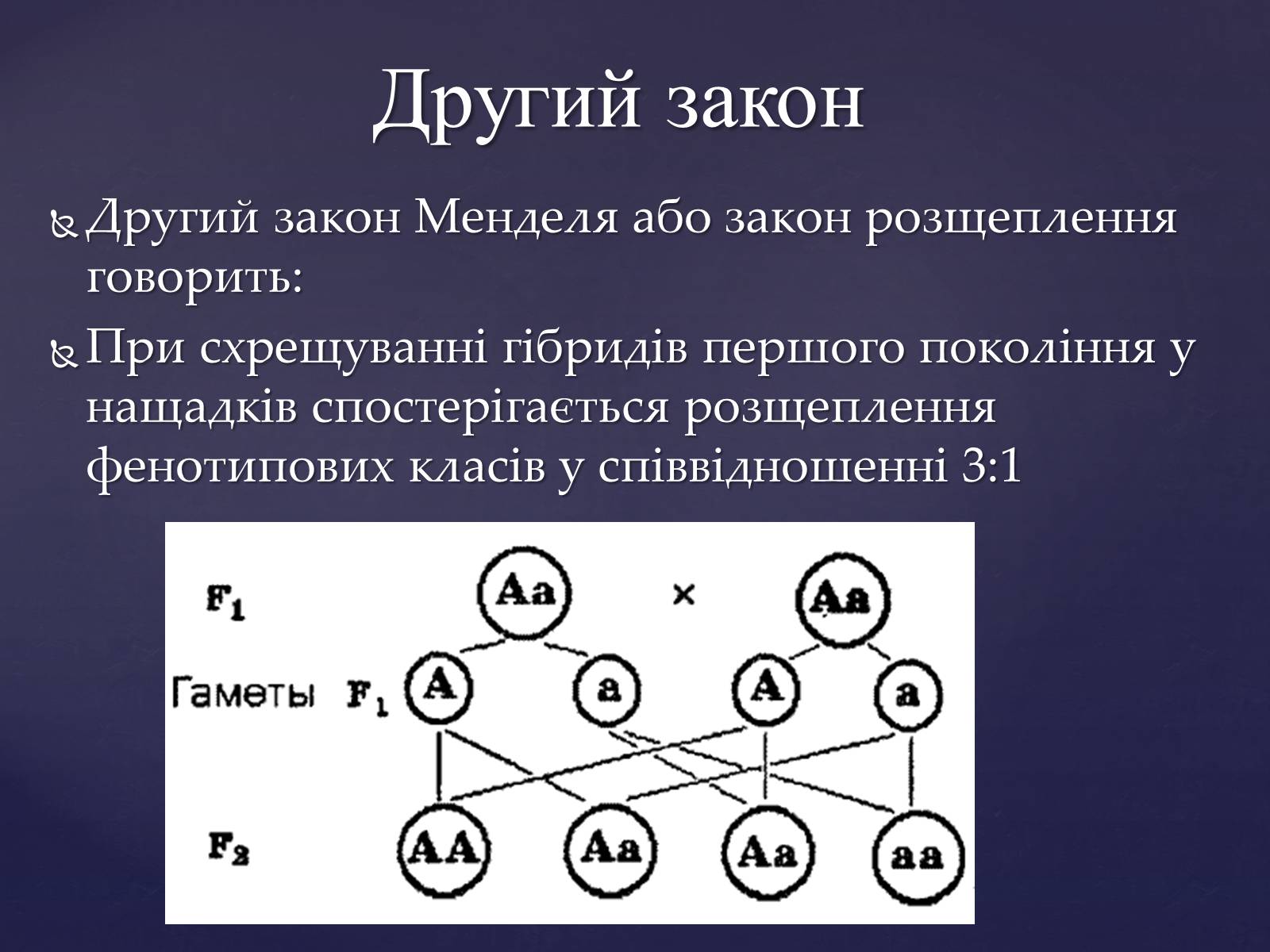 Презентація на тему «Закони Менделя» - Слайд #8 Презентація на тему «Закони Менделя» - Слайд #8