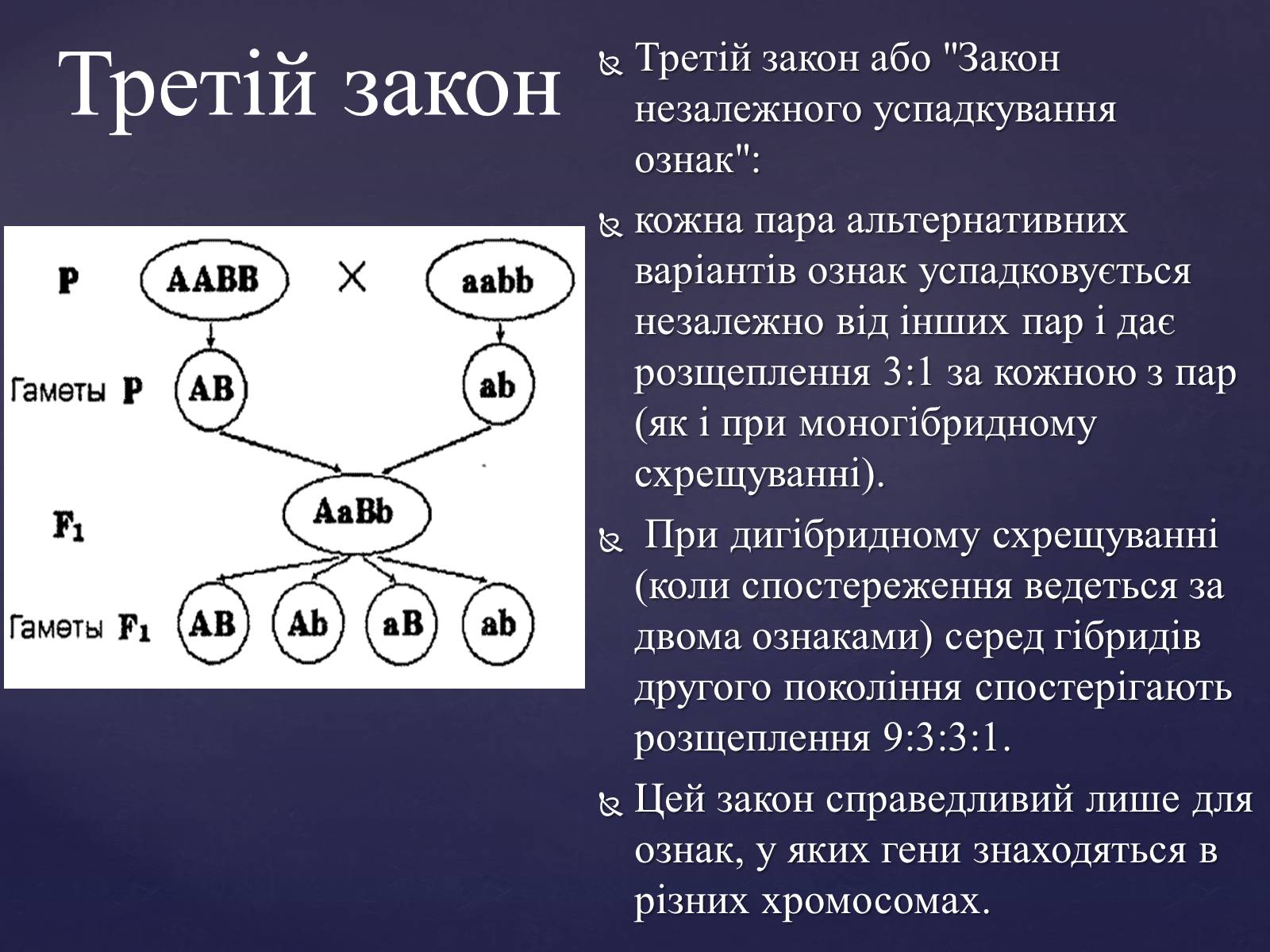 Презентація на тему «Закони Менделя» - Слайд #9 Презентація на тему «Закони Менделя» - Слайд #9