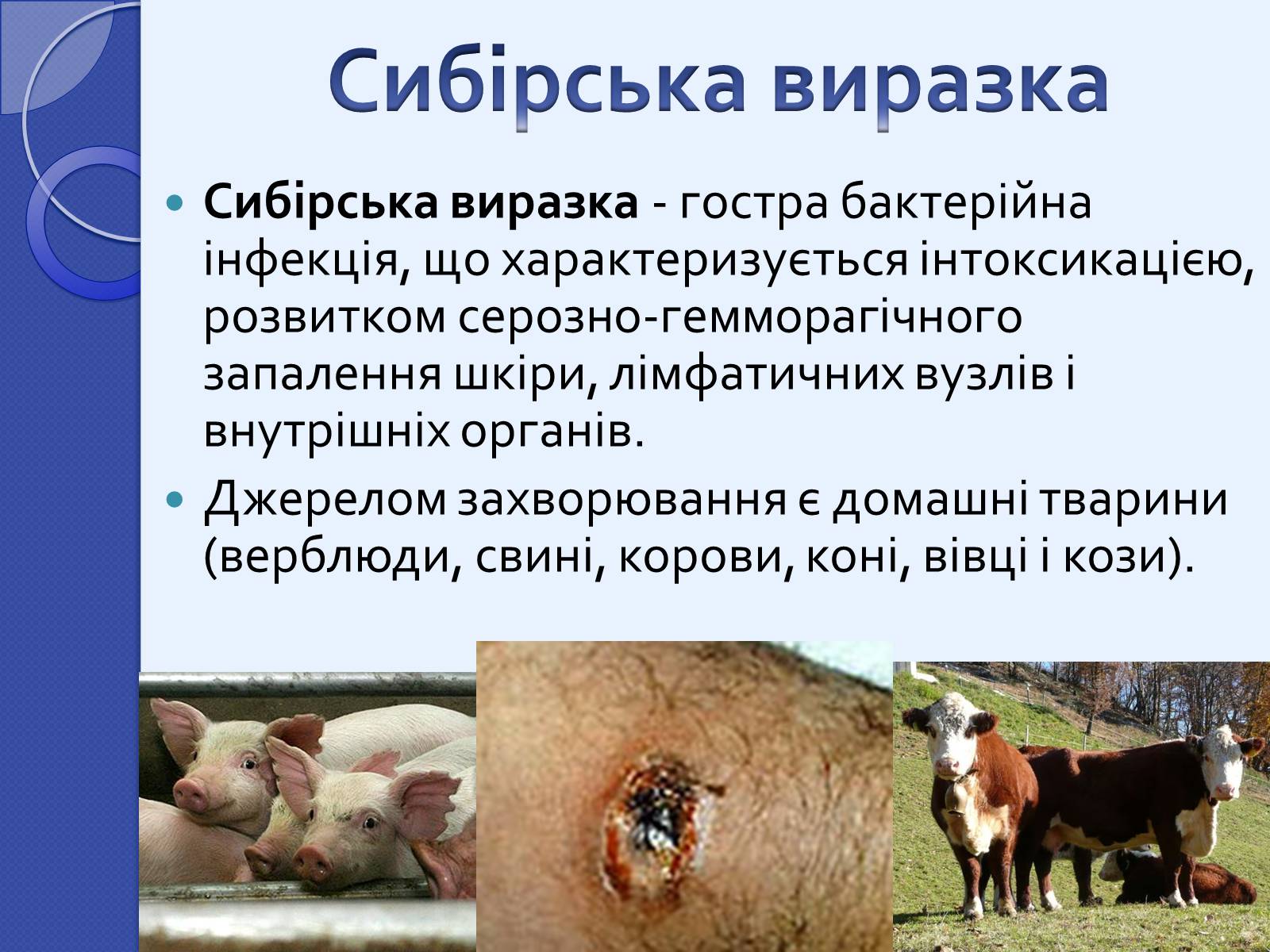 Презентація на тему «Інфекційні захворювання» (варіант 2) - Слайд #10