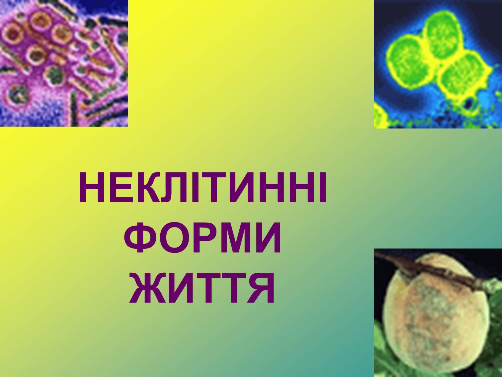 Презентація на тему «Віруси» (варіант 1) - Слайд #1 Презентація на тему «Віруси» (варіант 1) - Слайд #1