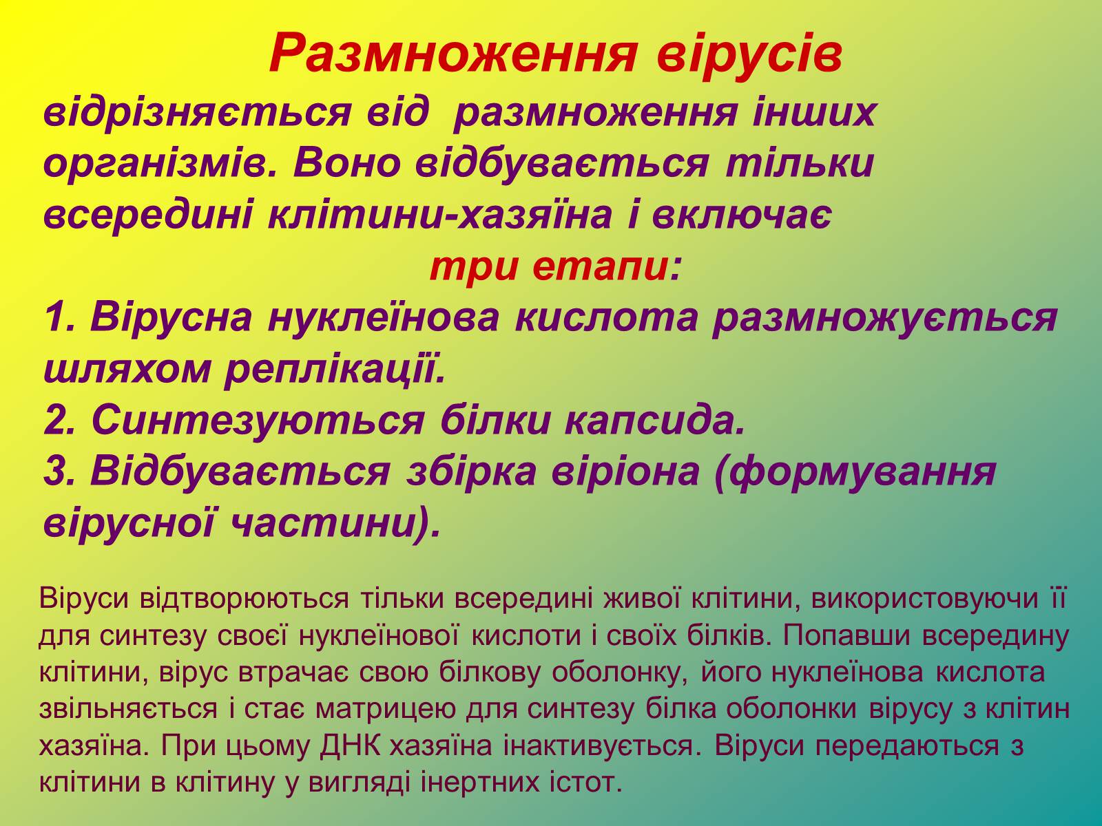 Презентація на тему «Віруси» (варіант 1) - Слайд #16 Презентація на тему «Віруси» (варіант 1) - Слайд #16