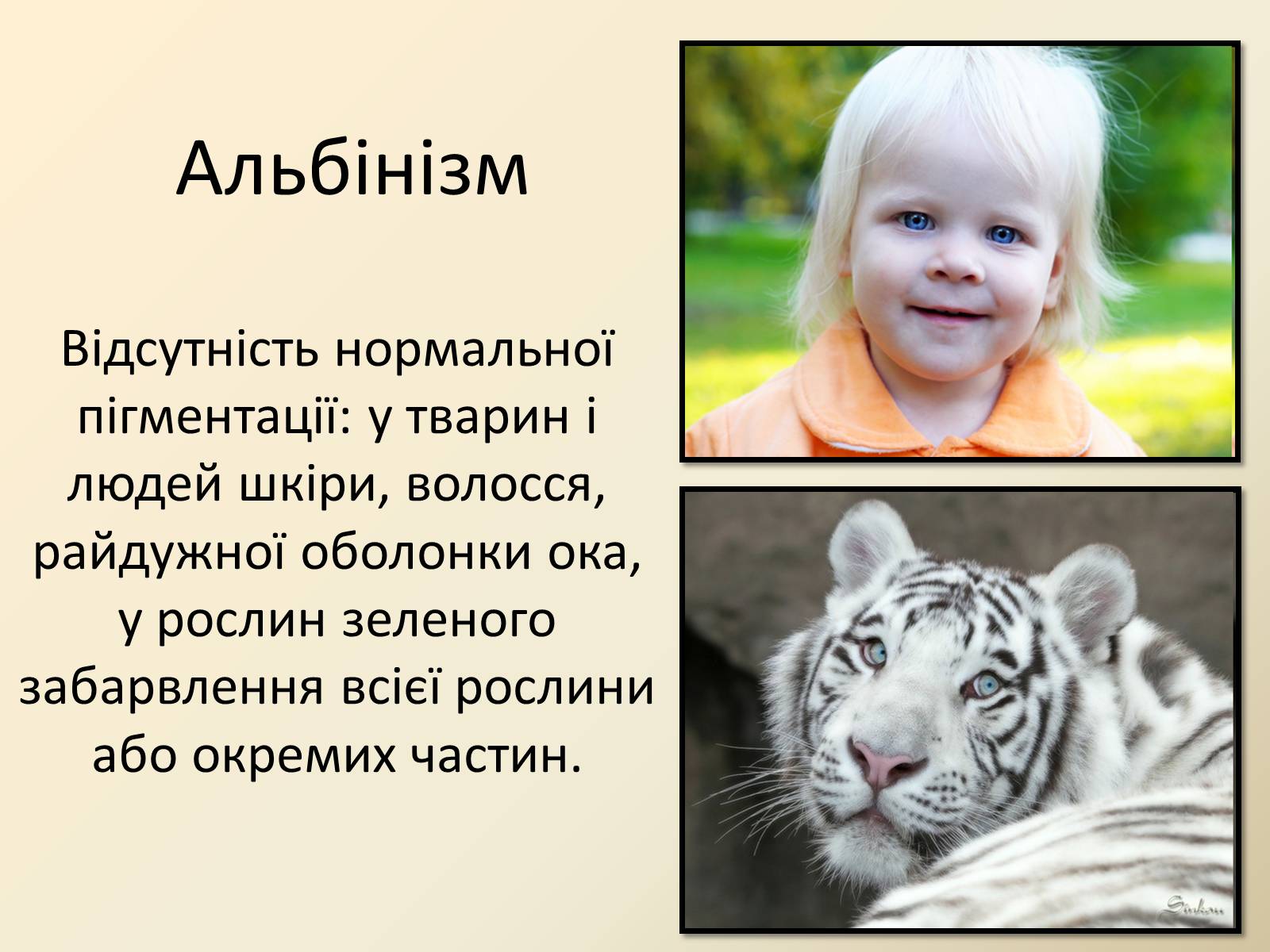 Презентація на тему «Генетика людини» (варіант 4) - Слайд #12 Презентація на тему «Генетика людини» (варіант 4) - Слайд #12