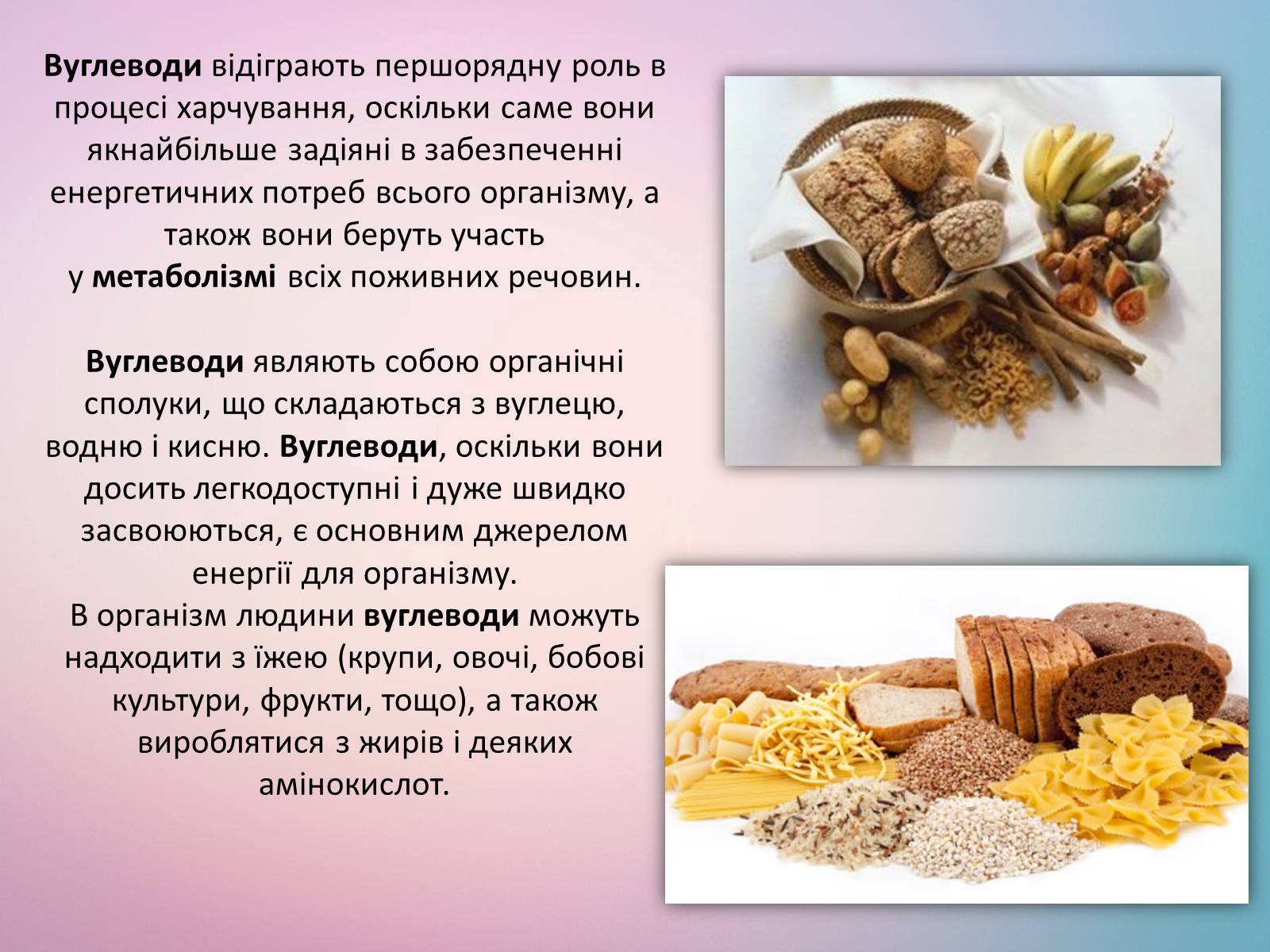 Презентація на тему «Вуглеводи як компоненти їжі, їх роль у житті людини» (варіант 21) - Слайд #2 Презентація на тему «Вуглеводи як компоненти їжі, їх роль у житті людини» (варіант 21) - Слайд #2