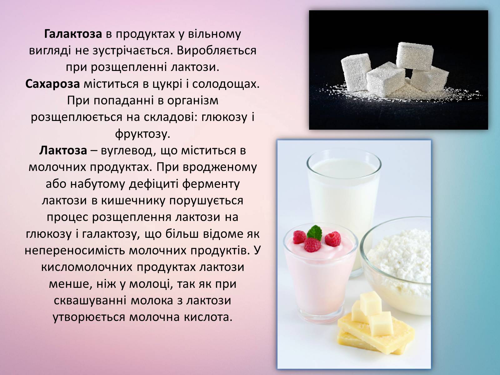 Презентація на тему «Вуглеводи як компоненти їжі, їх роль у житті людини» (варіант 21) - Слайд #4 Презентація на тему «Вуглеводи як компоненти їжі, їх роль у житті людини» (варіант 21) - Слайд #4