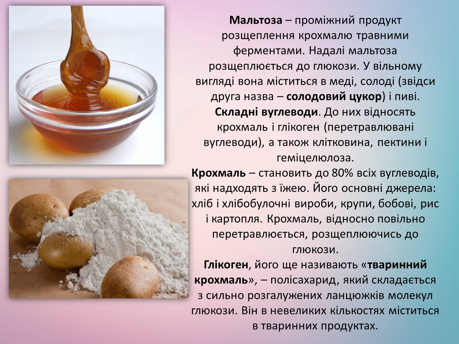 Презентація на тему «Вуглеводи як компоненти їжі, їх роль у житті людини» (варіант 21) - Слайд #5 Презентація на тему «Вуглеводи як компоненти їжі, їх роль у житті людини» (варіант 21) - Слайд #5