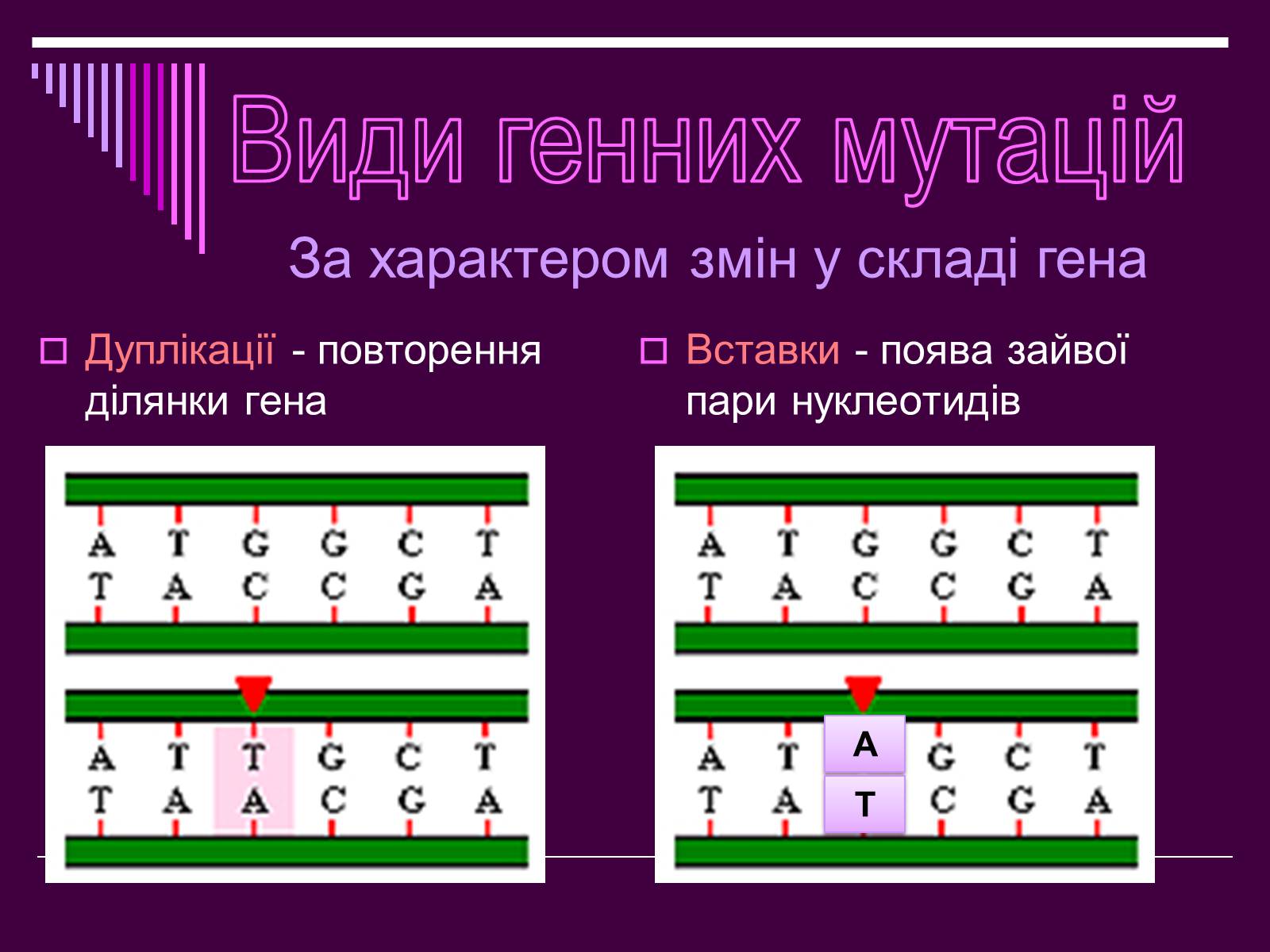 Презентація на тему «Мутації» (варіант 4) - Слайд #10