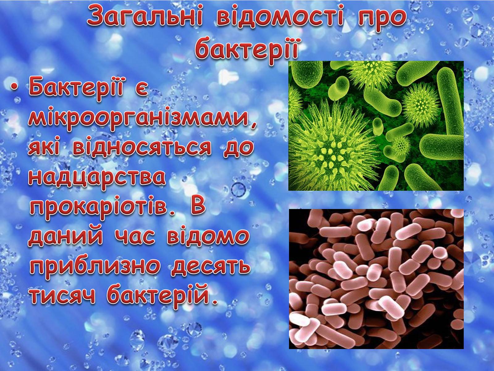 Презентація на тему «Бактерії» (варіант 3) - Слайд #2 Презентація на тему «Бактерії» (варіант 3) - Слайд #2
