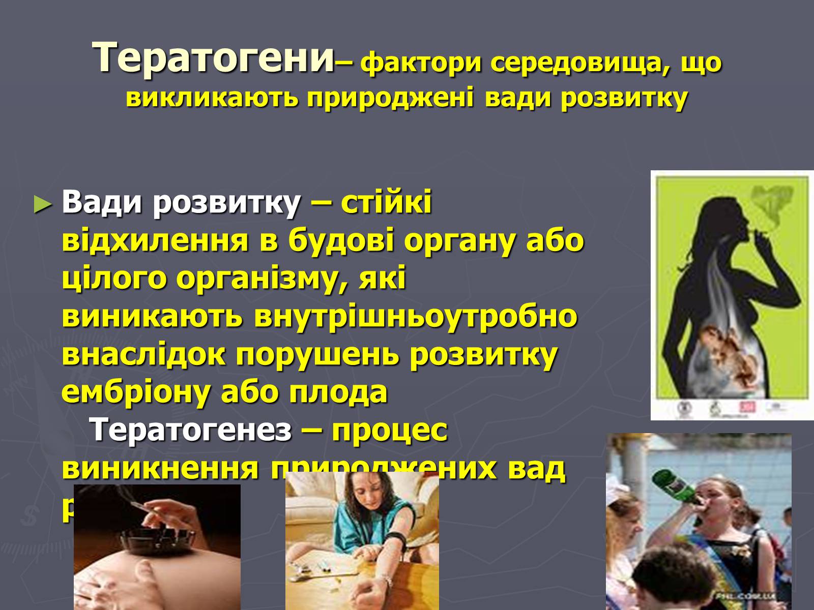 Презентація на тему «Мінливість» (варіант 1) - Слайд #13 Презентація на тему «Мінливість» (варіант 1) - Слайд #13