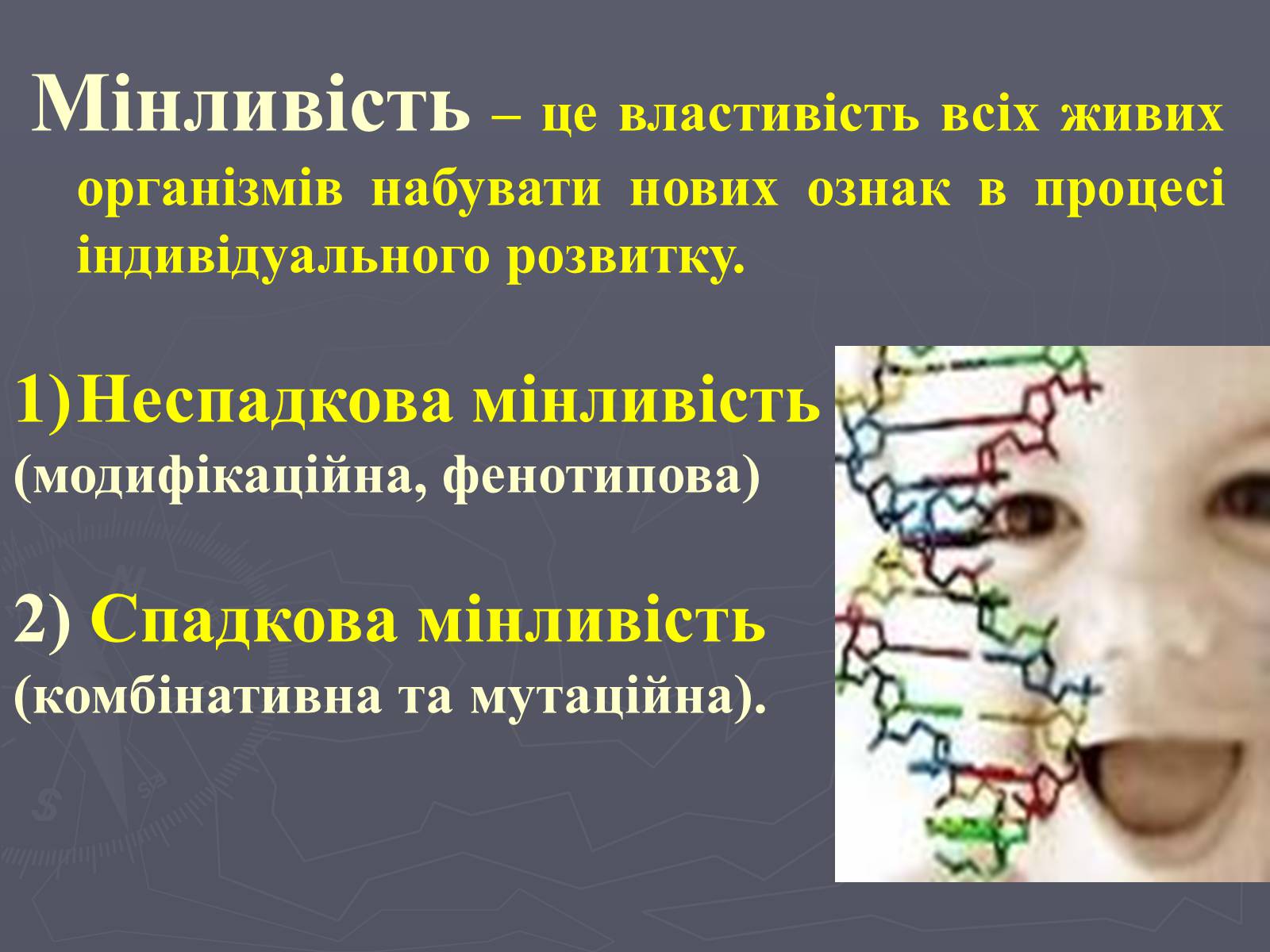 Презентація на тему «Мінливість» (варіант 1) - Слайд #4 Презентація на тему «Мінливість» (варіант 1) - Слайд #4